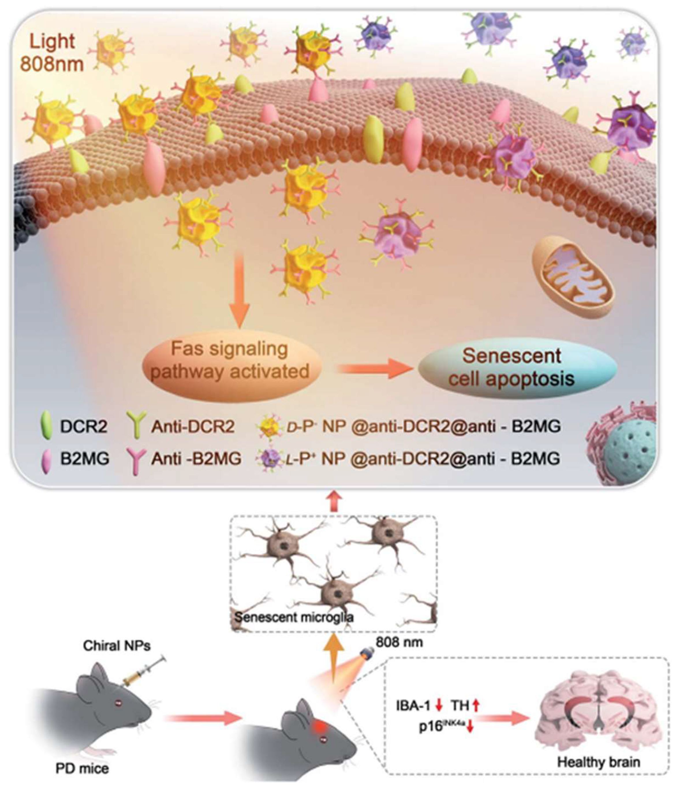Molecules 30 00829 g008