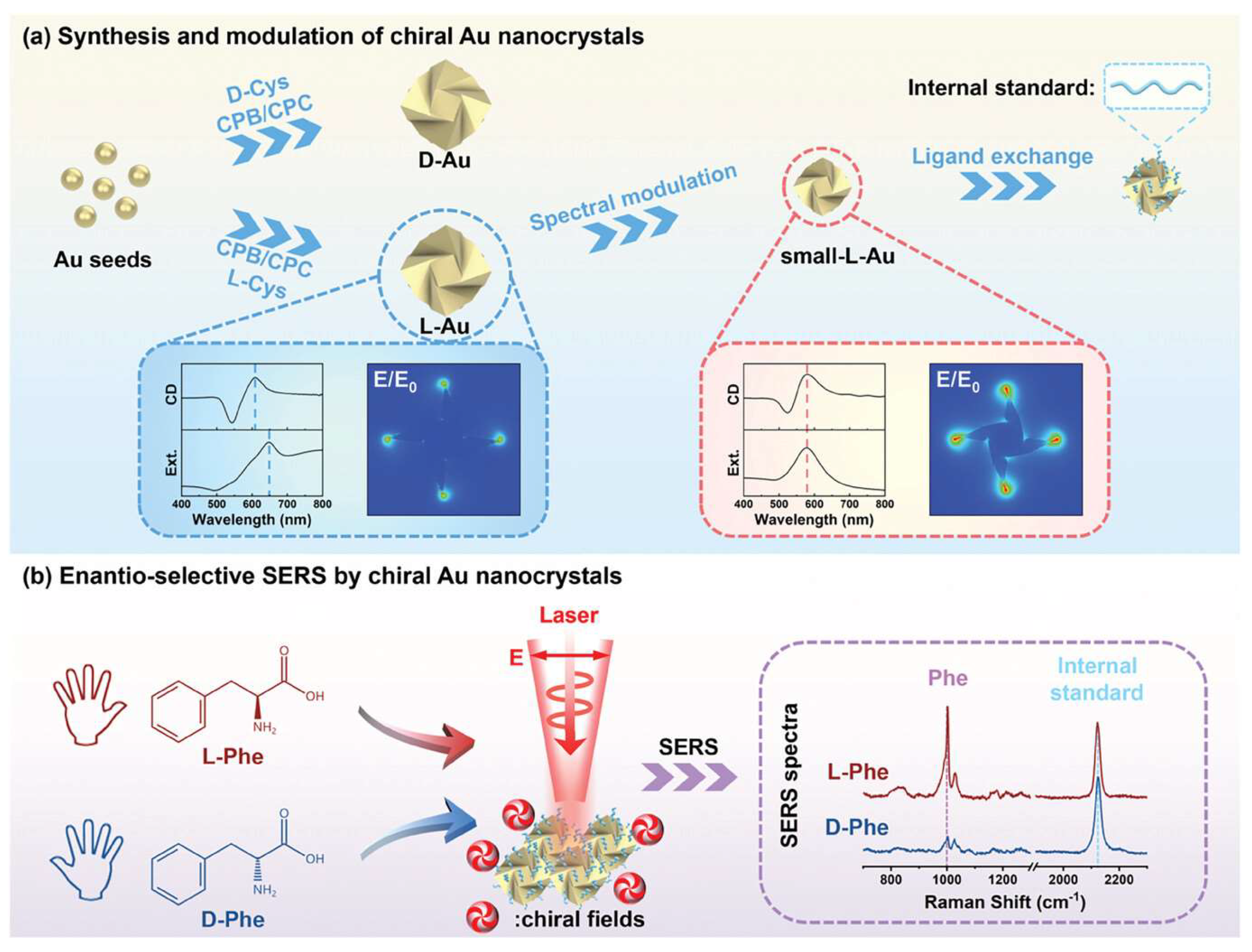 Molecules 30 00829 g010