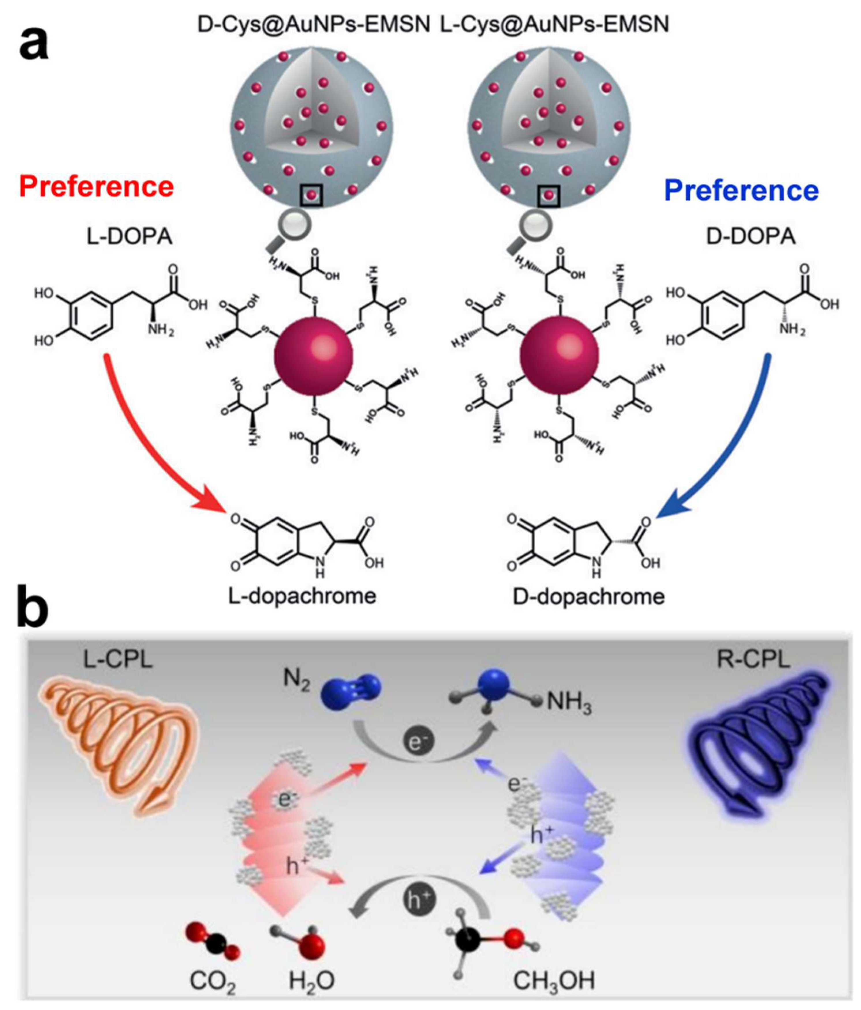 Molecules 30 00829 g011