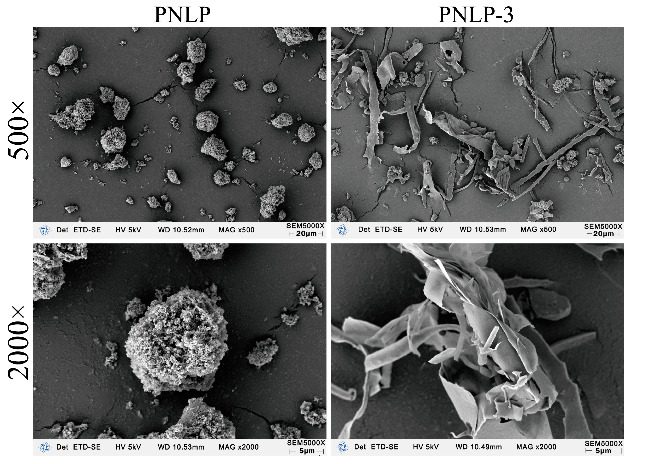 Molecules 30 00830 g004