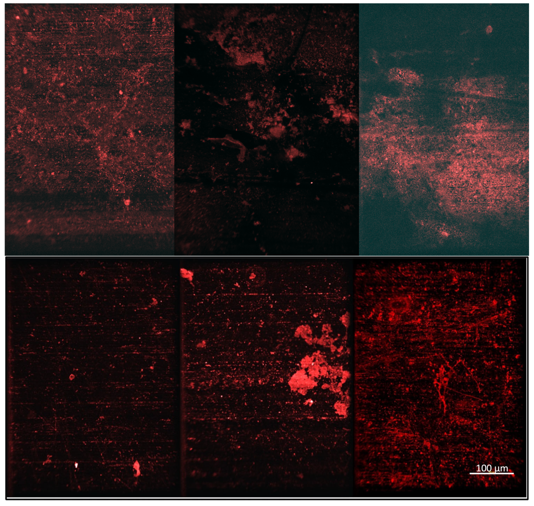 Molecules 30 00836 g006