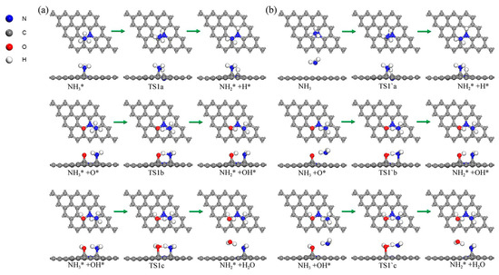 Decomposition Reaction Mechanism of Ammonium Perchlorate on N