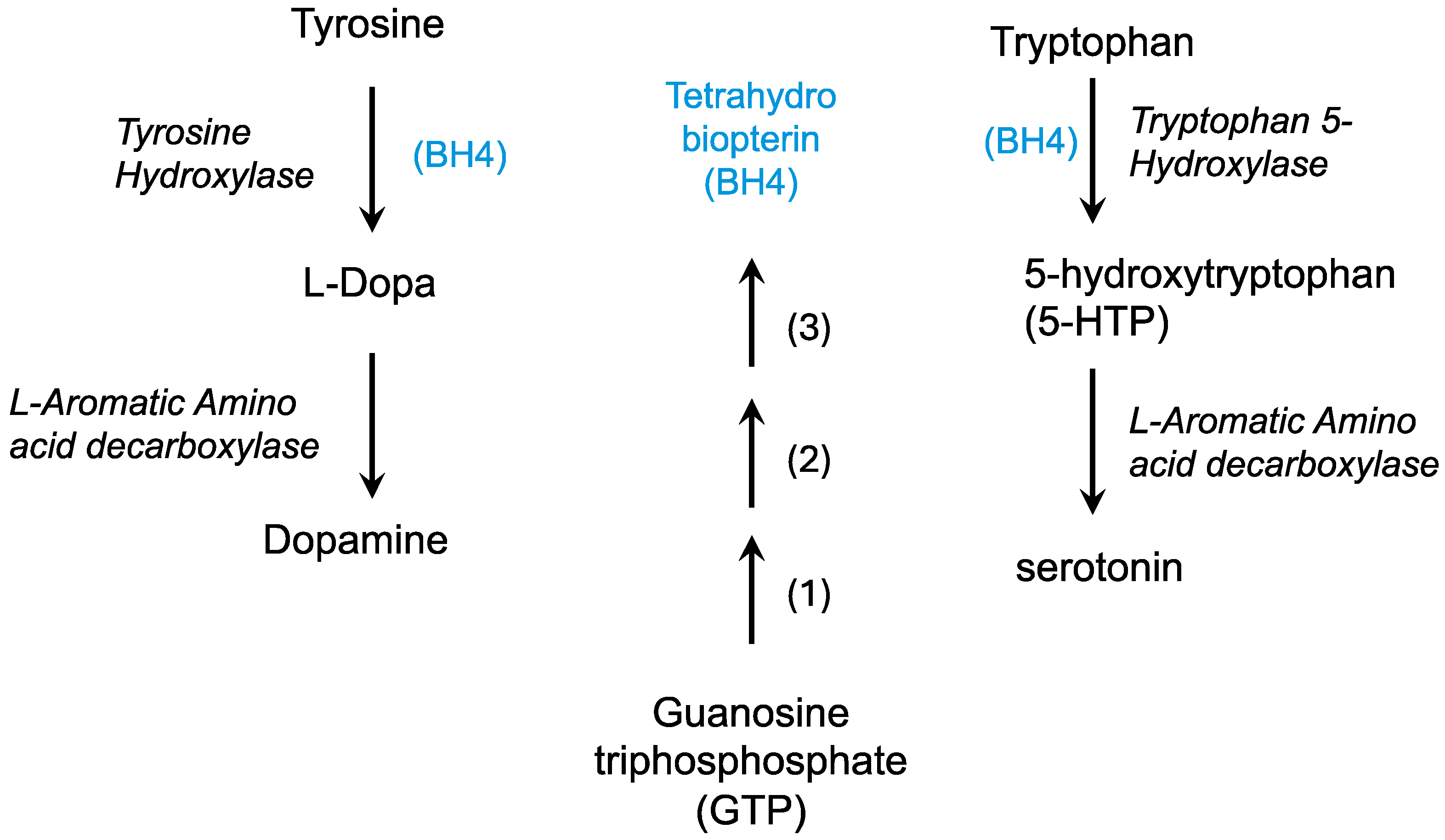 Molecules 30 00839 g004