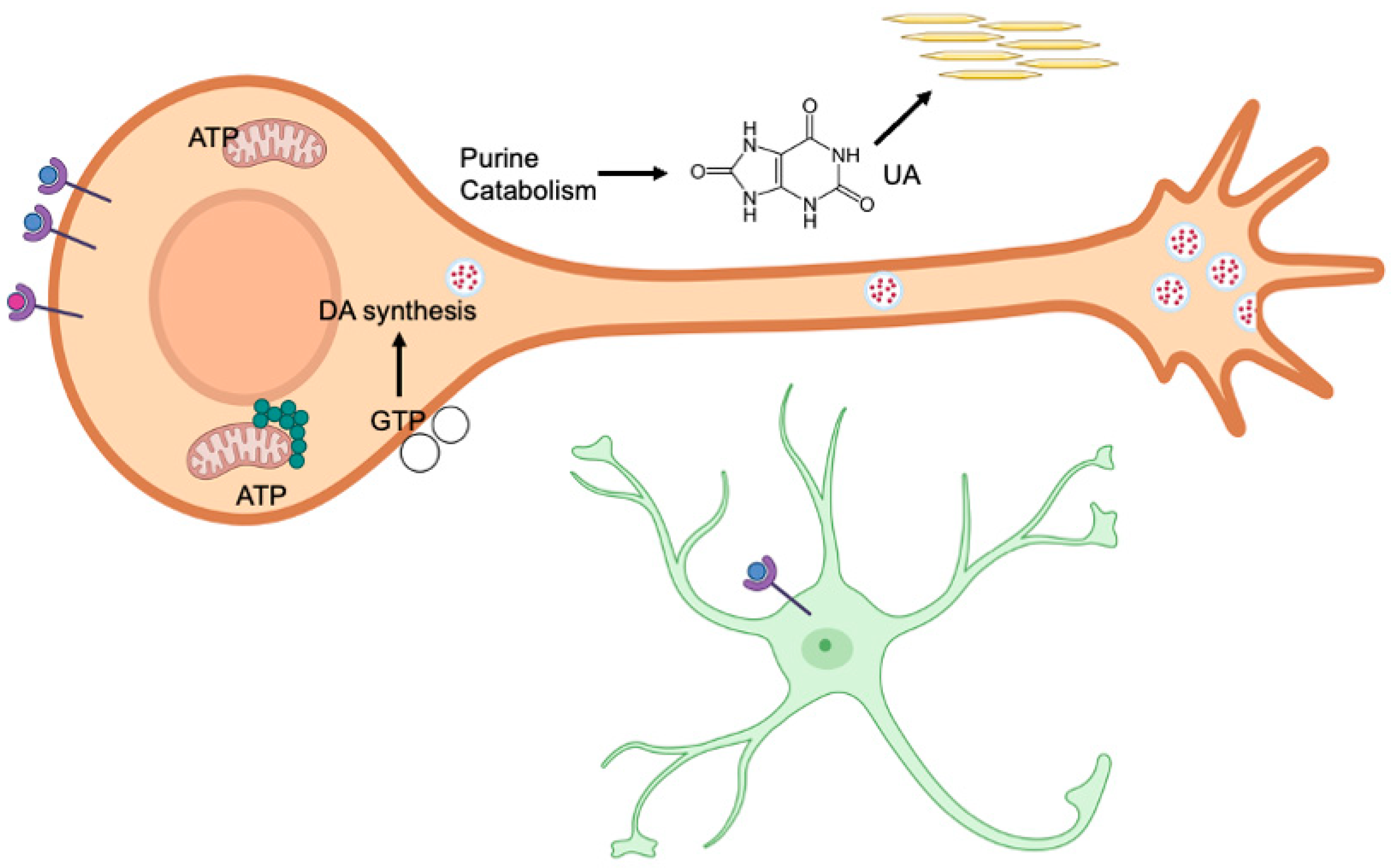 Molecules 30 00839 g005