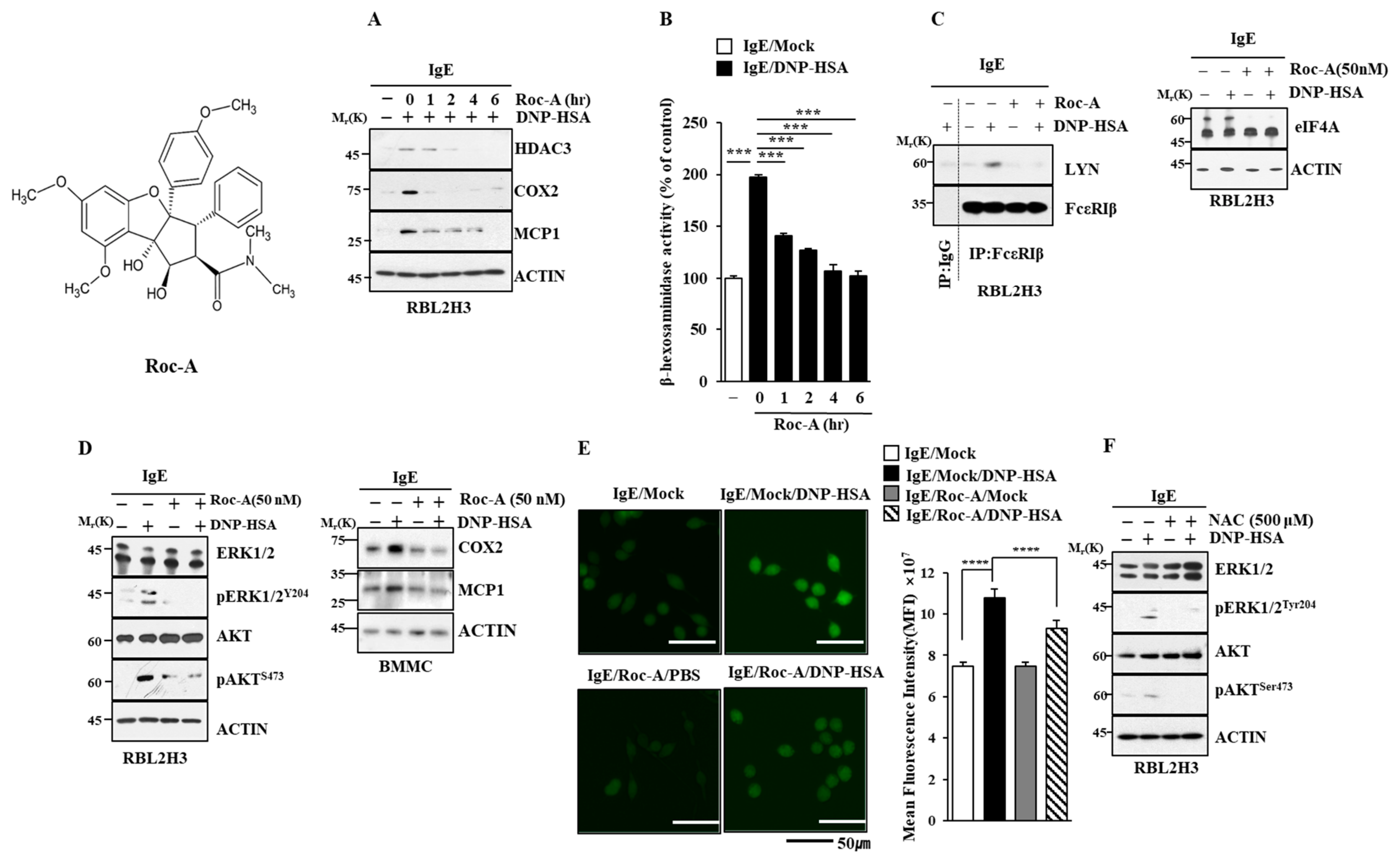 Molecules 30 00840 g001
