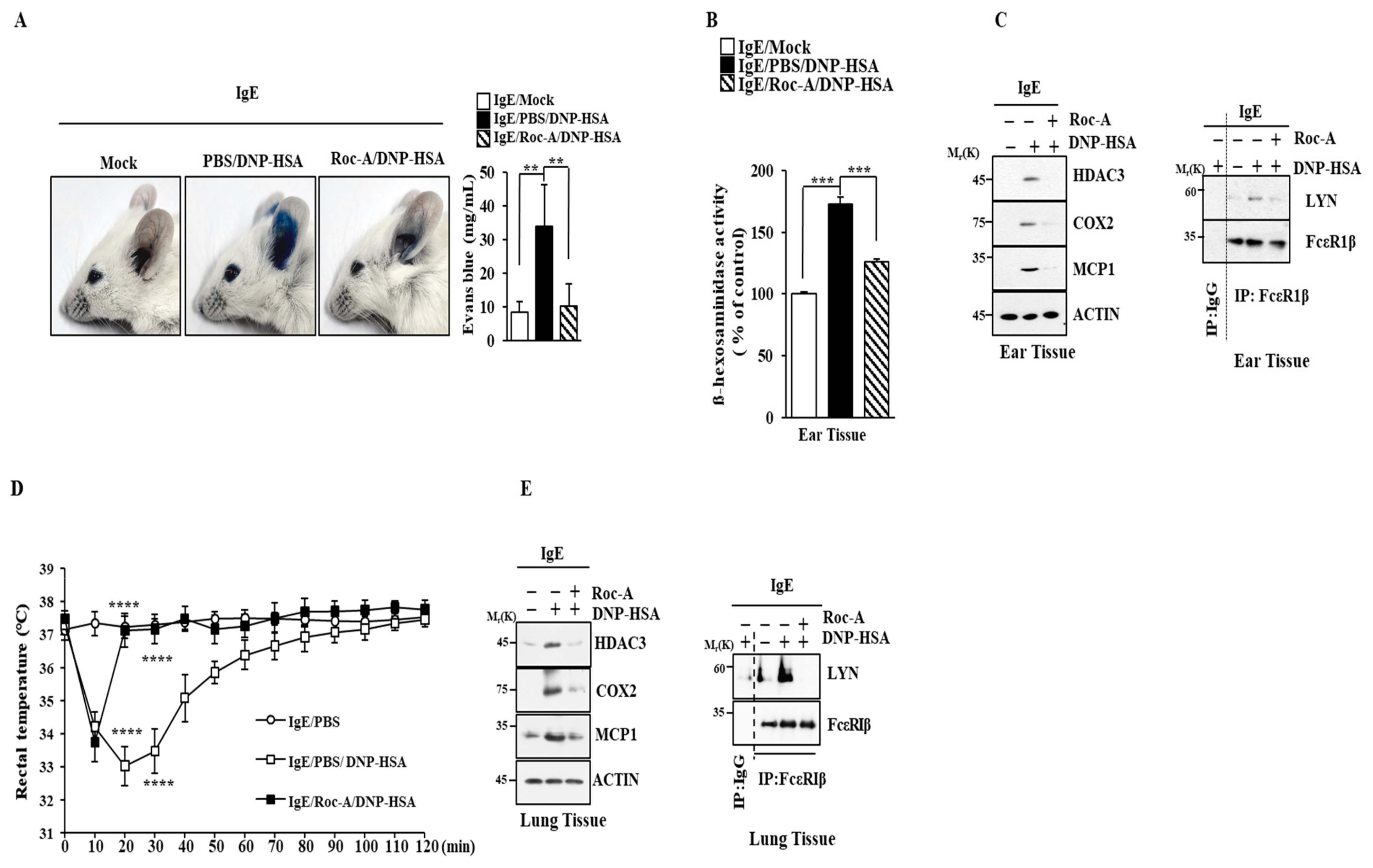 Molecules 30 00840 g002