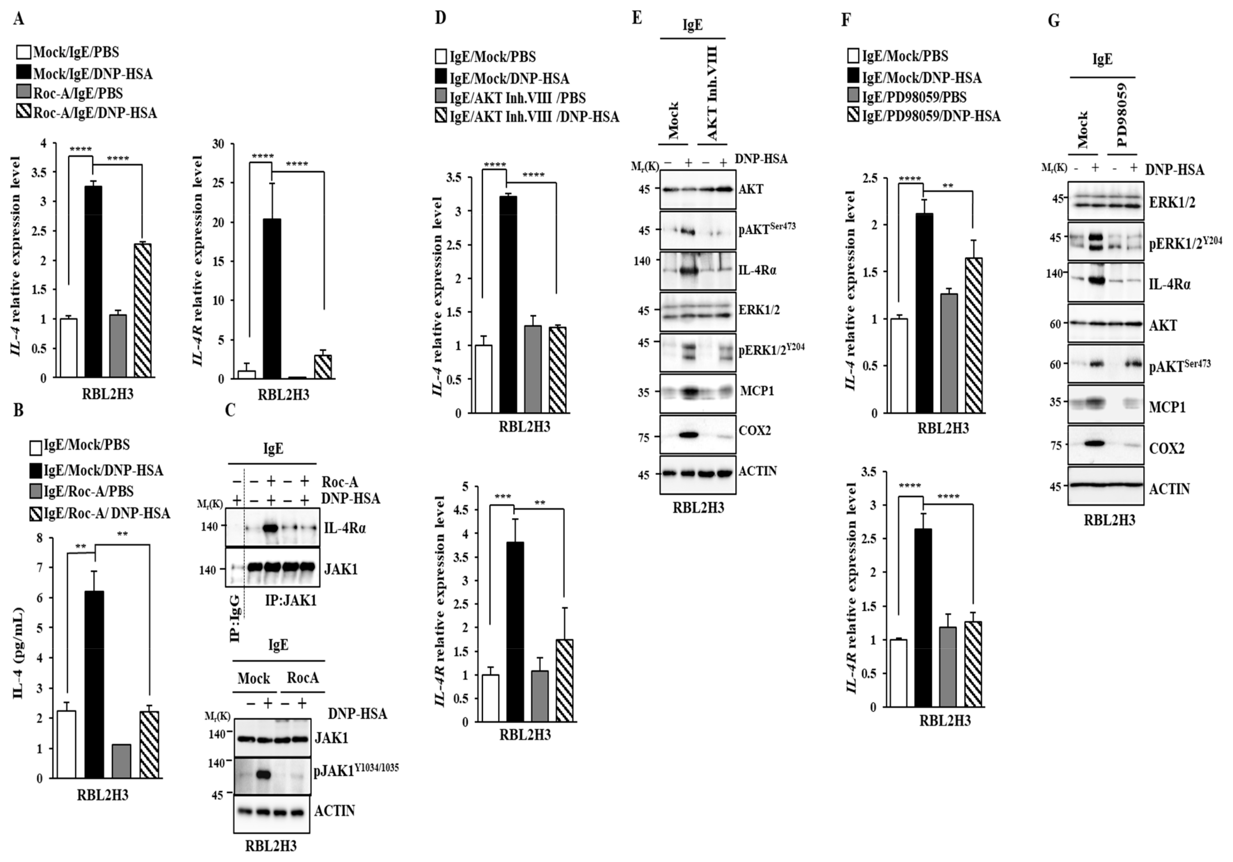 Molecules 30 00840 g004