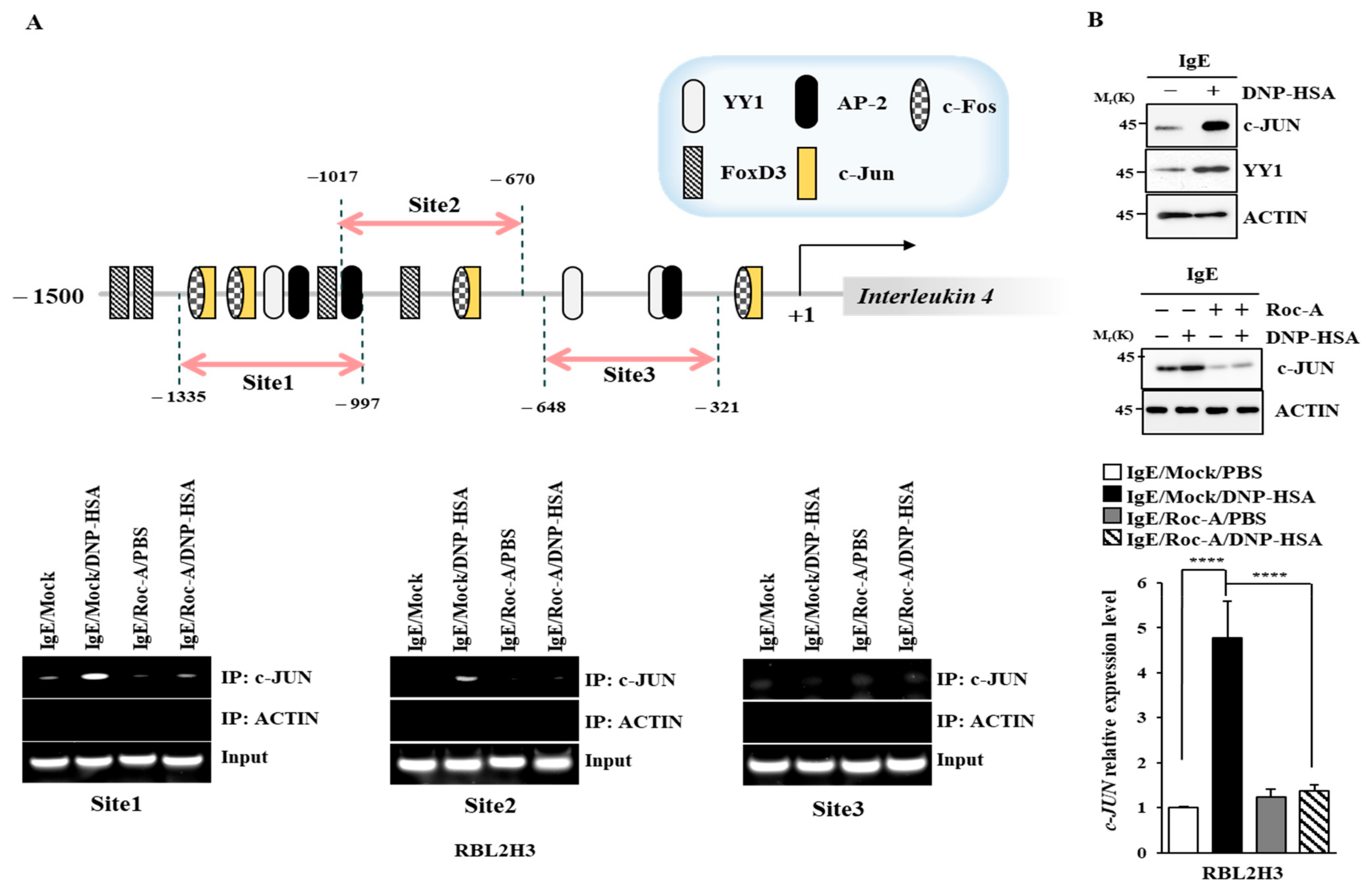 Molecules 30 00840 g006