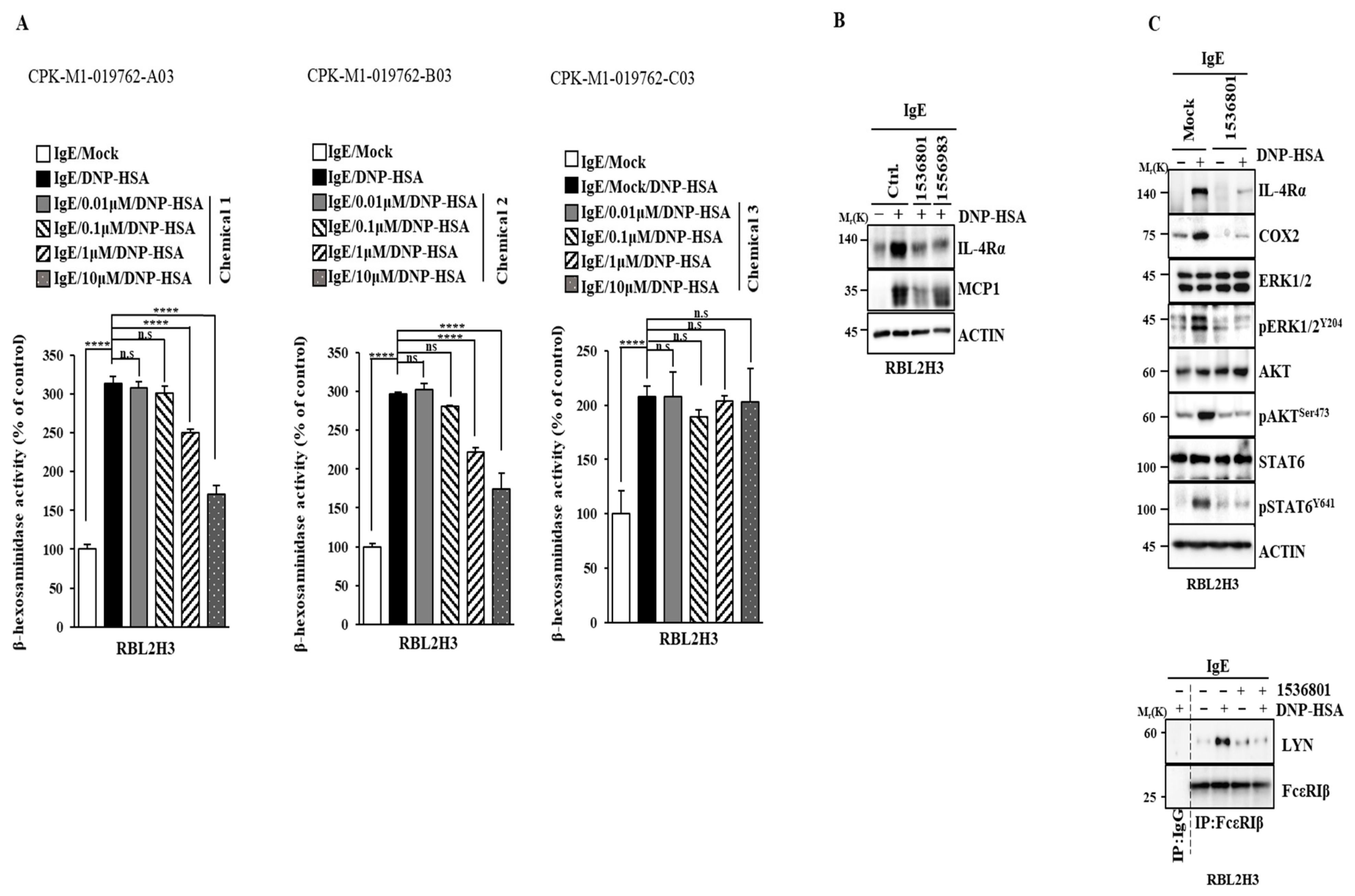 Molecules 30 00840 g011