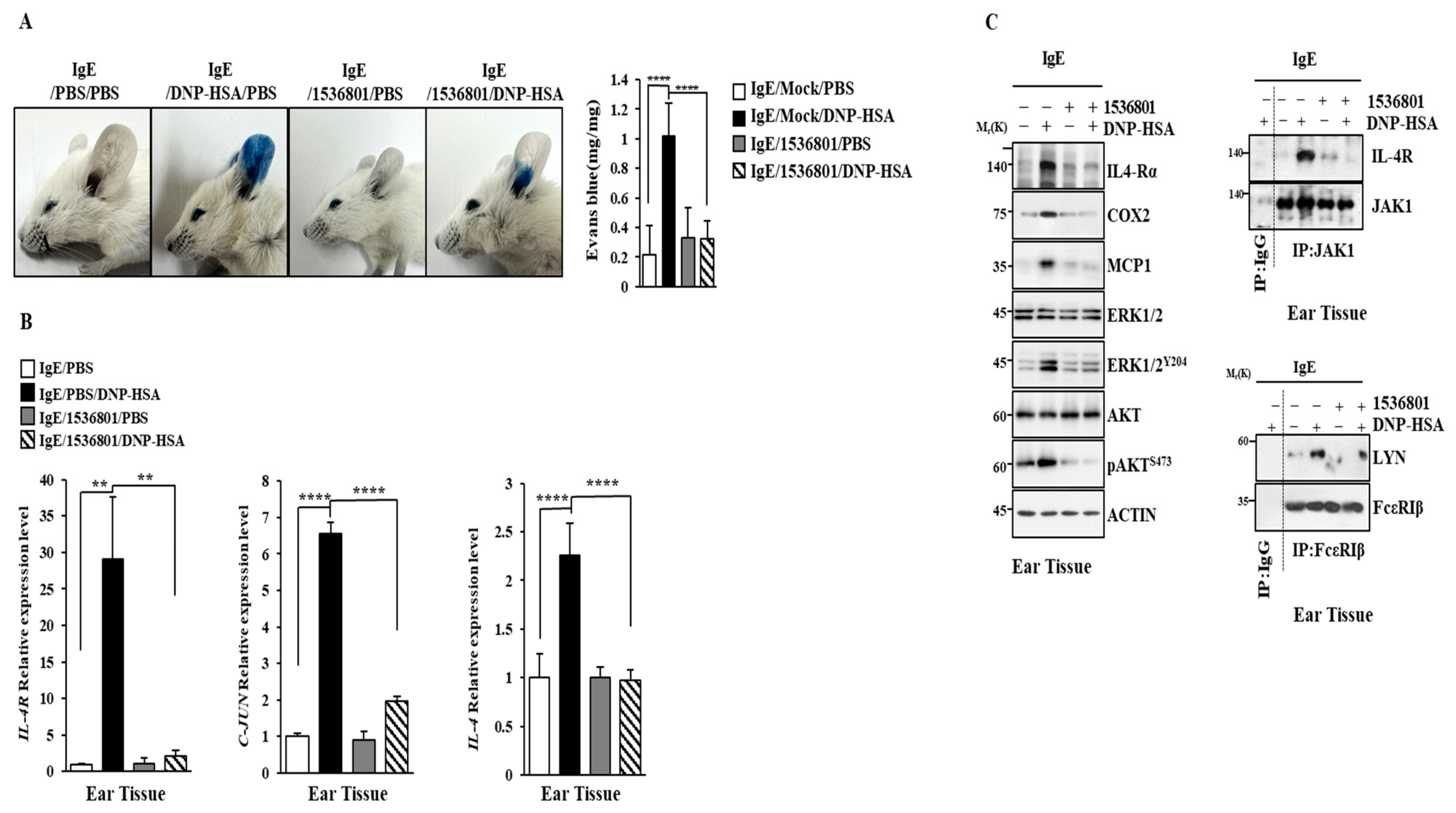 Molecules 30 00840 g012