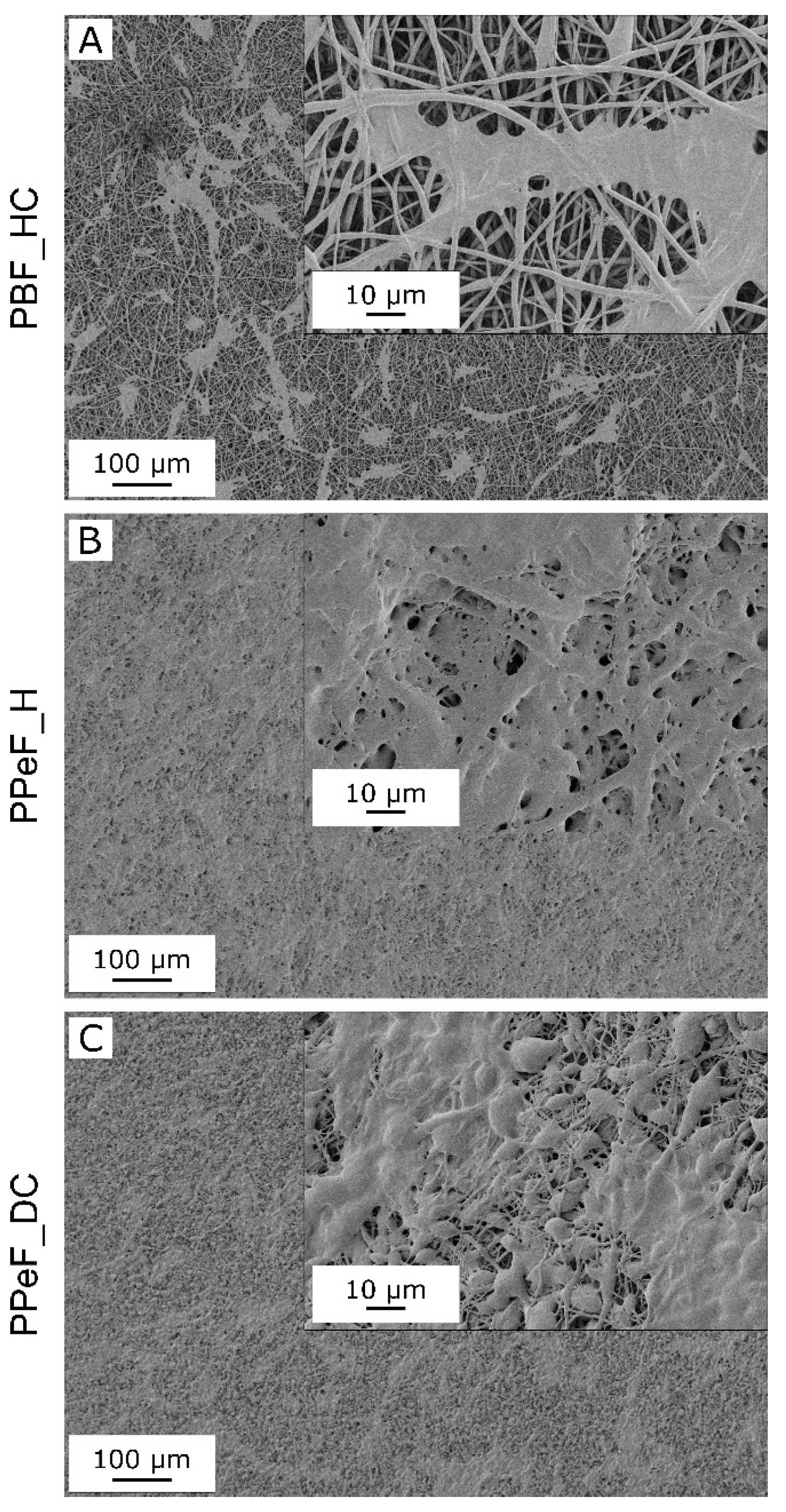 Molecules 30 00841 g005
