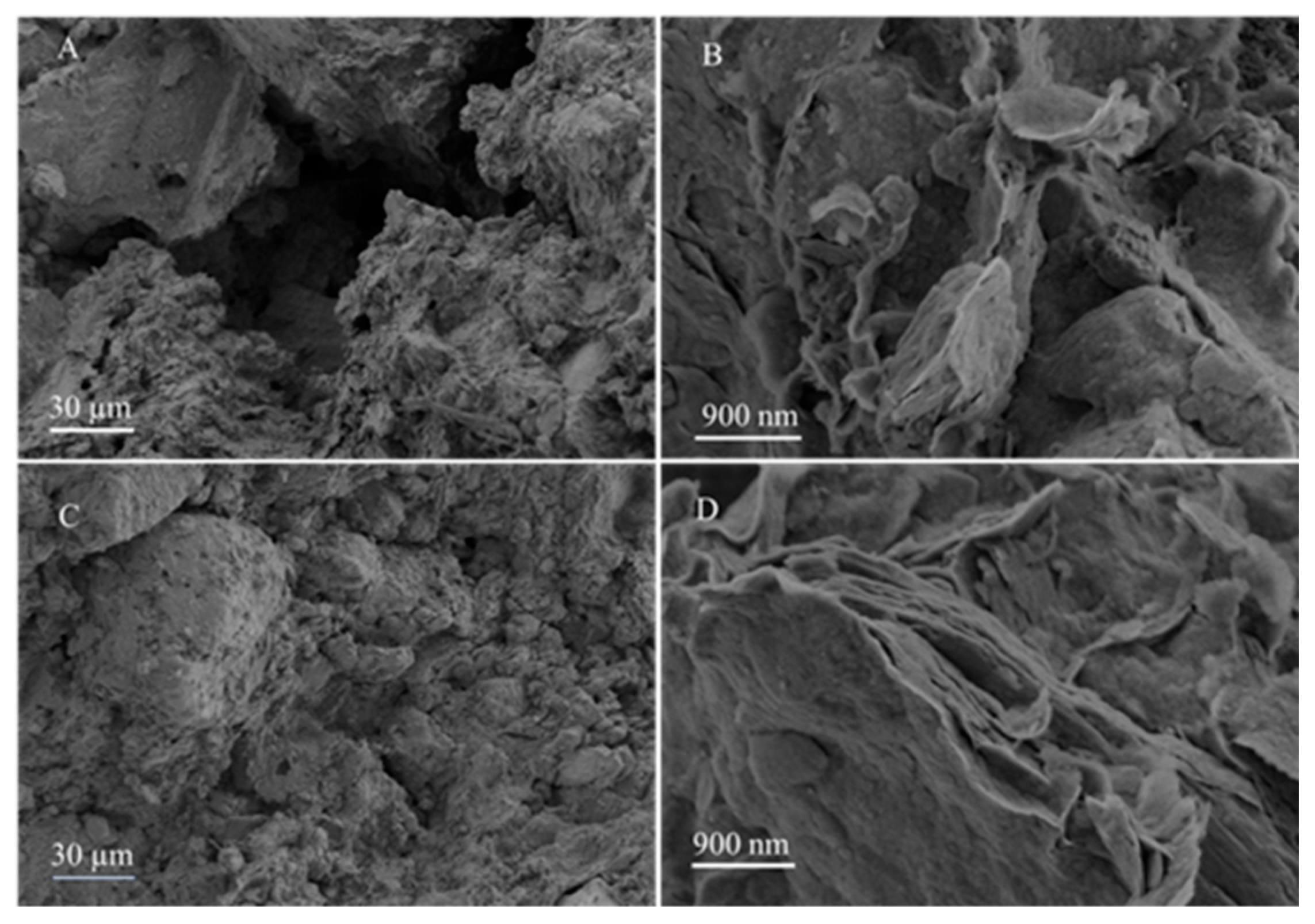 Molecules 30 00843 g007