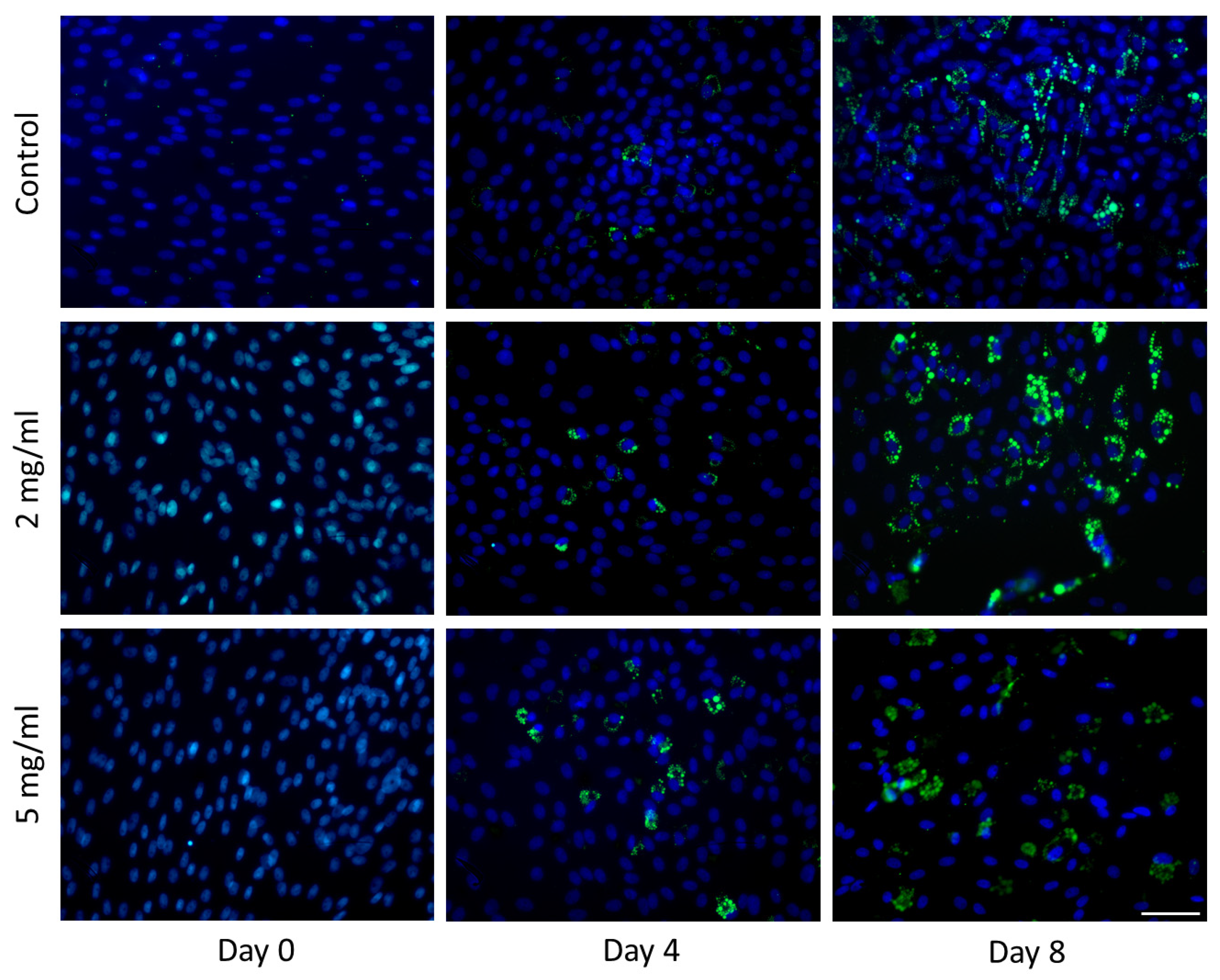 Molecules 30 00847 g003