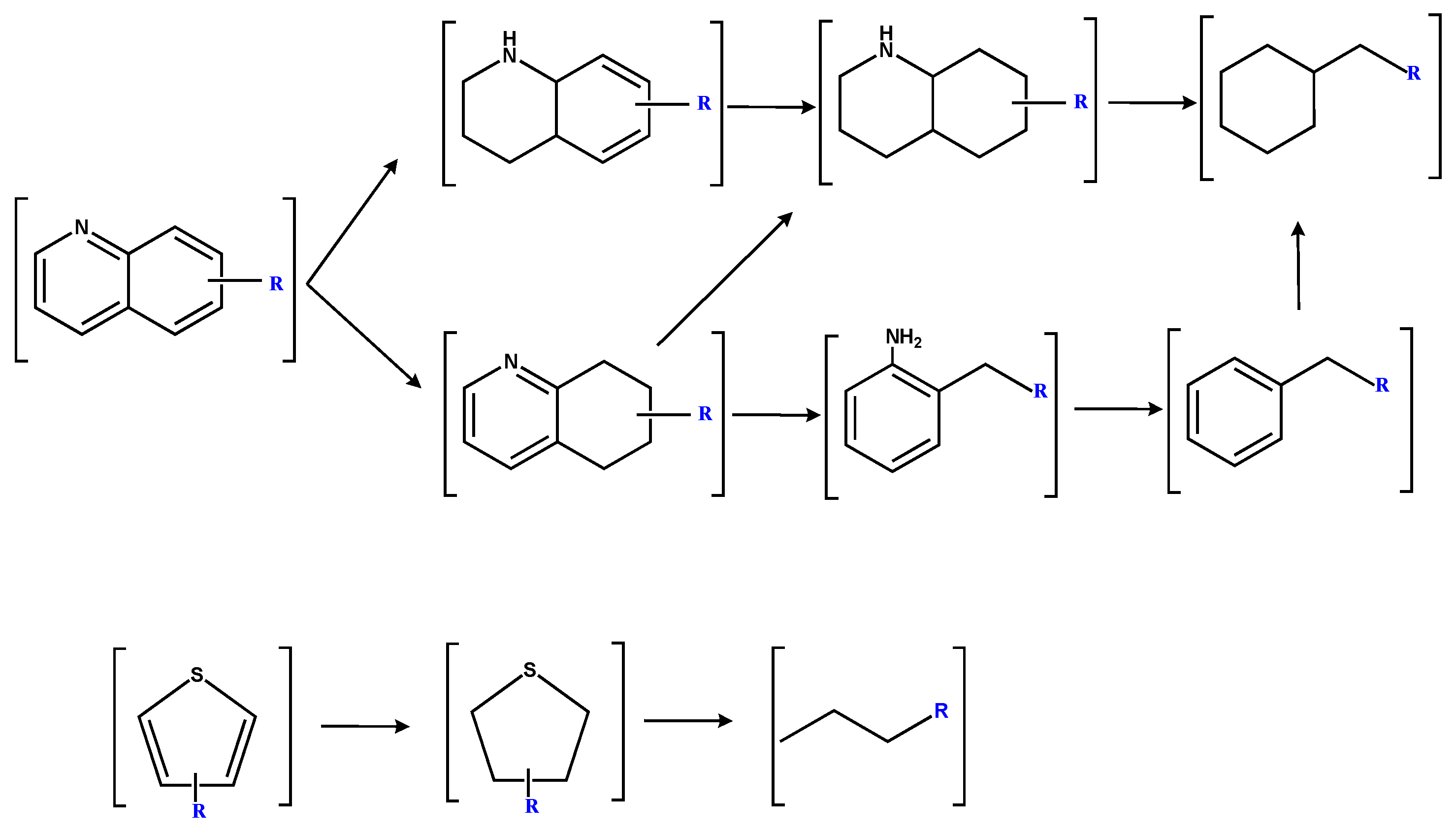 Molecules 30 00849 g011