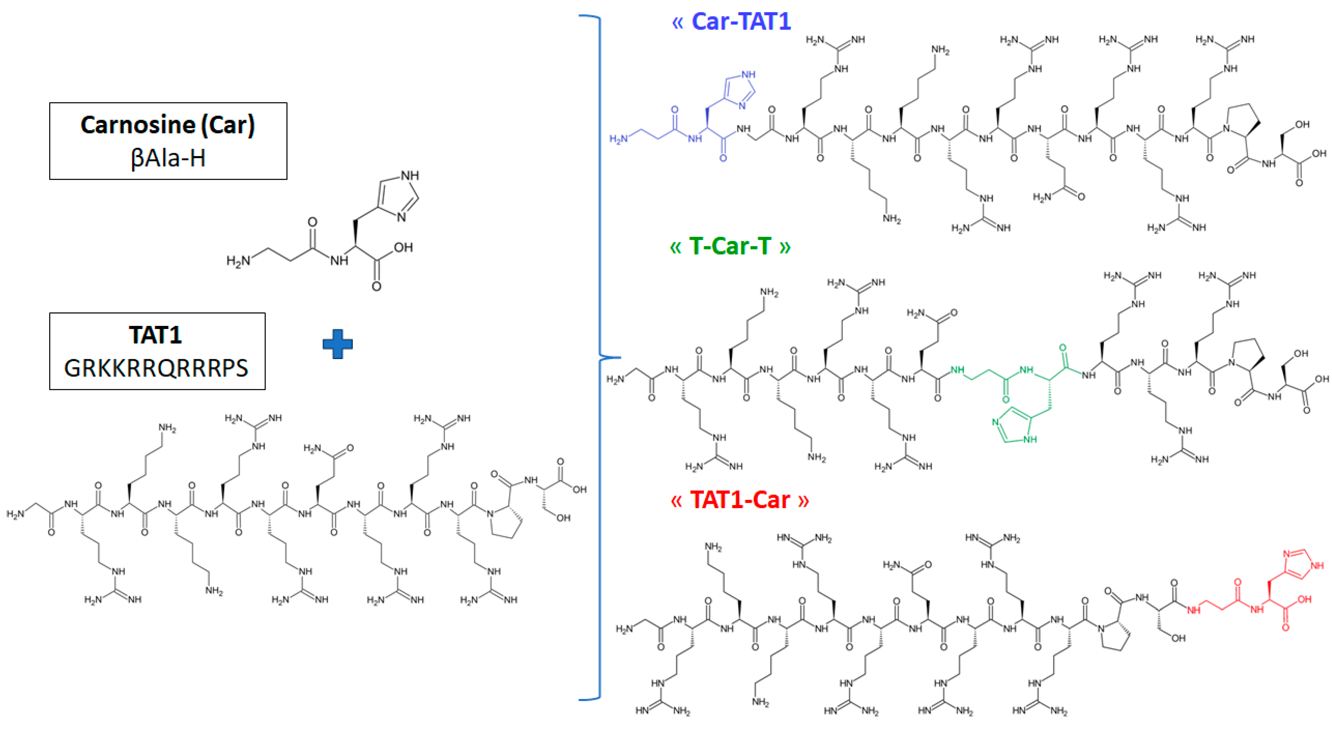 Molecules 30 00853 g001