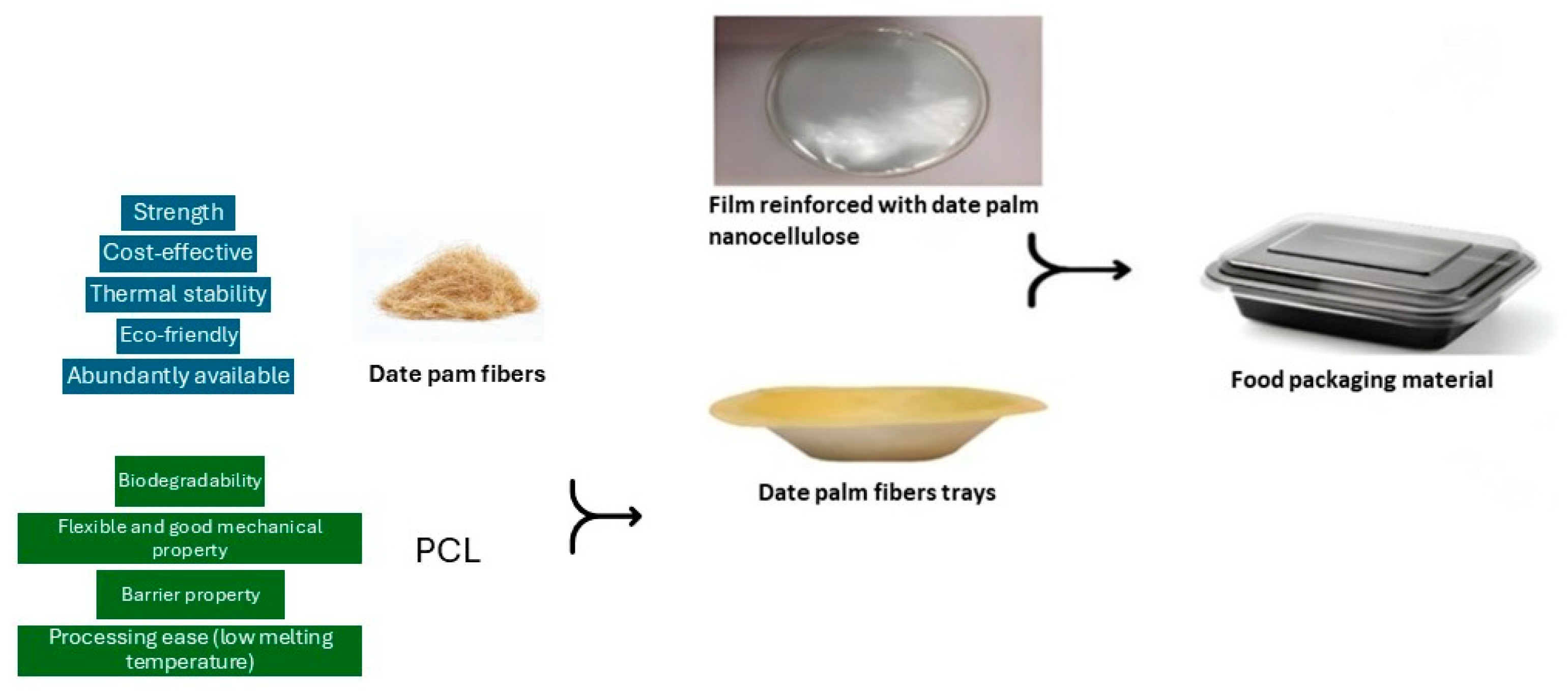 Molecules 30 00857 g002