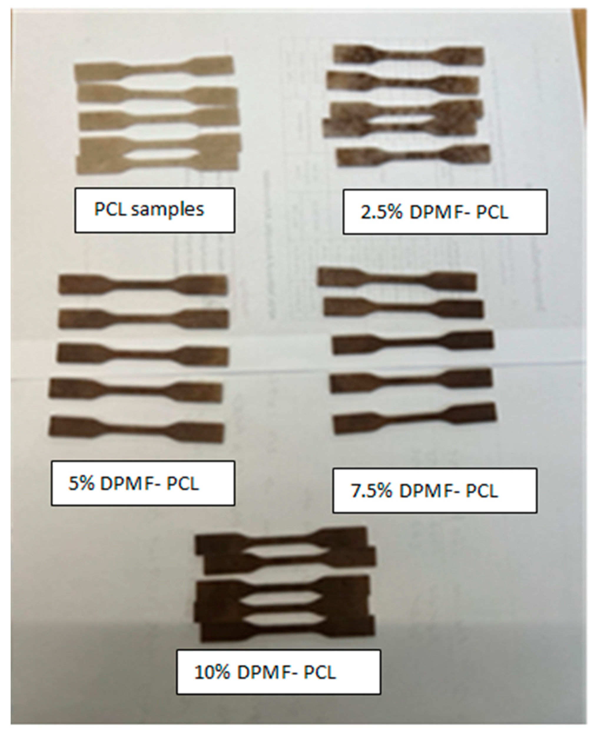 Molecules 30 00857 g006