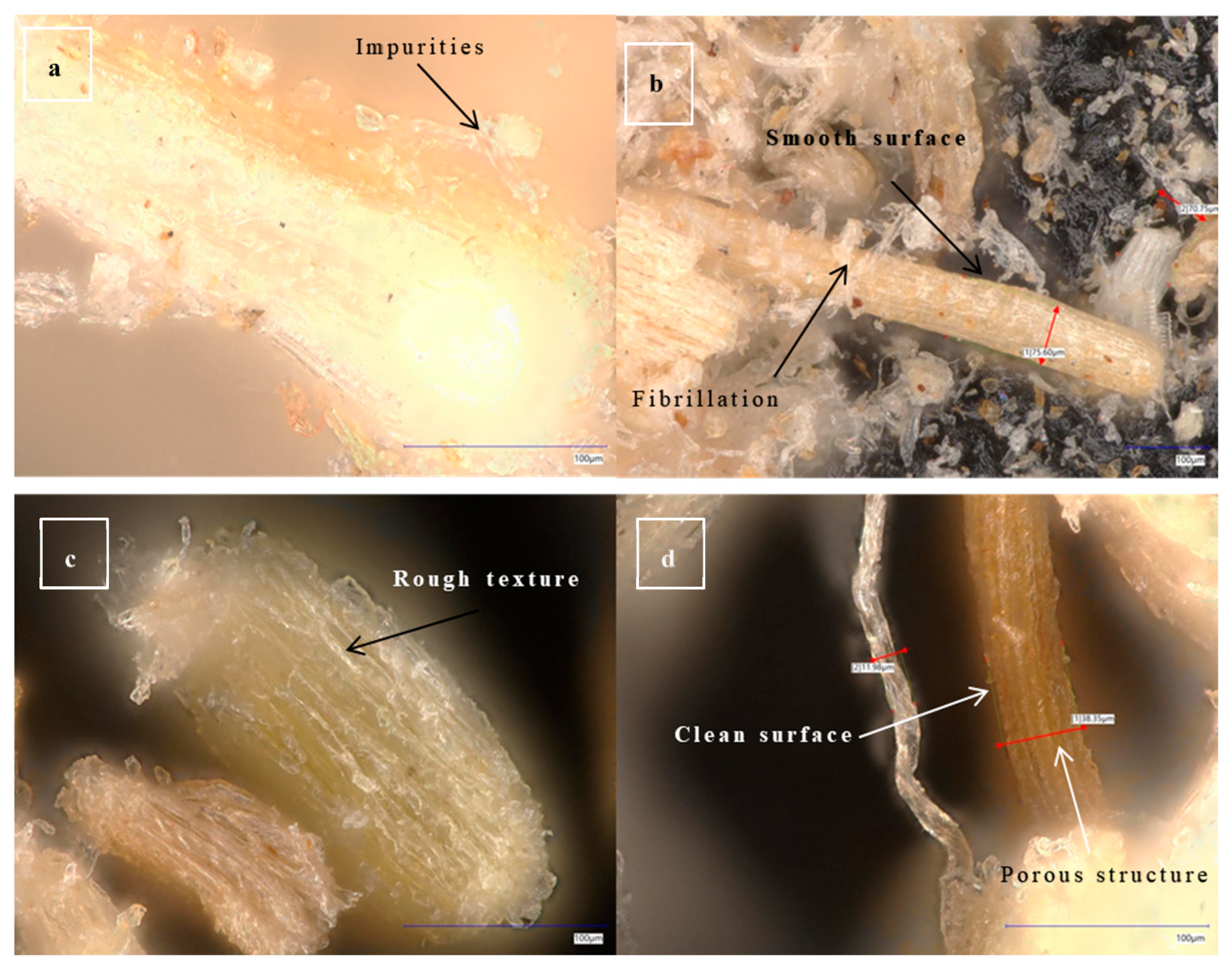 Molecules 30 00857 g012