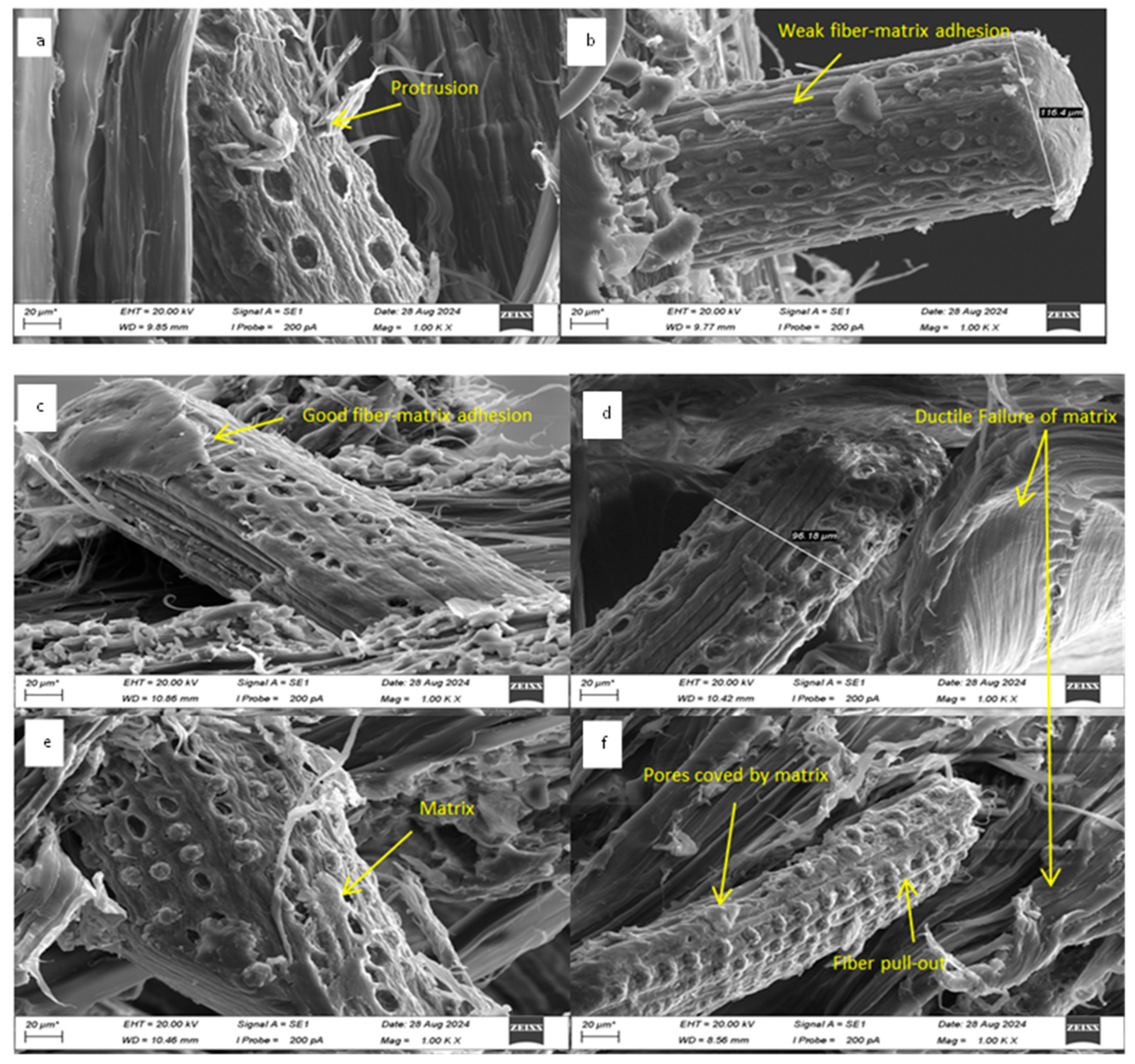Molecules 30 00857 g022
