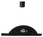 Molecules 30 00857 i006