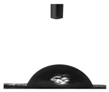 Molecules 30 00857 i009