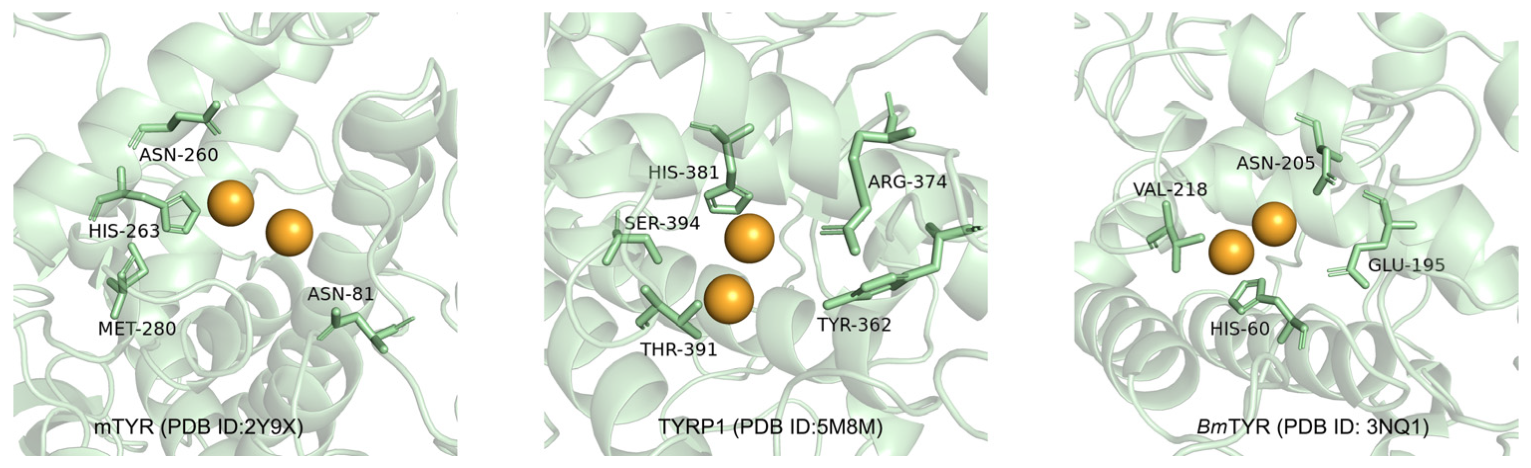 Molecules 30 00860 g001