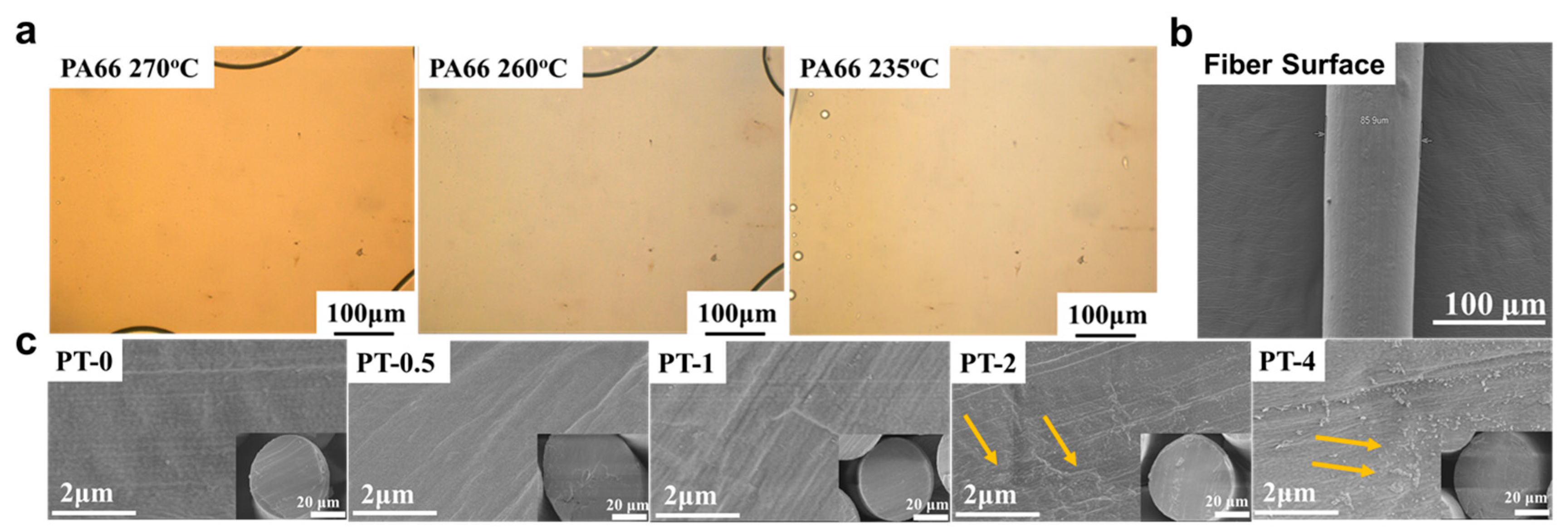 Molecules 30 00862 g002