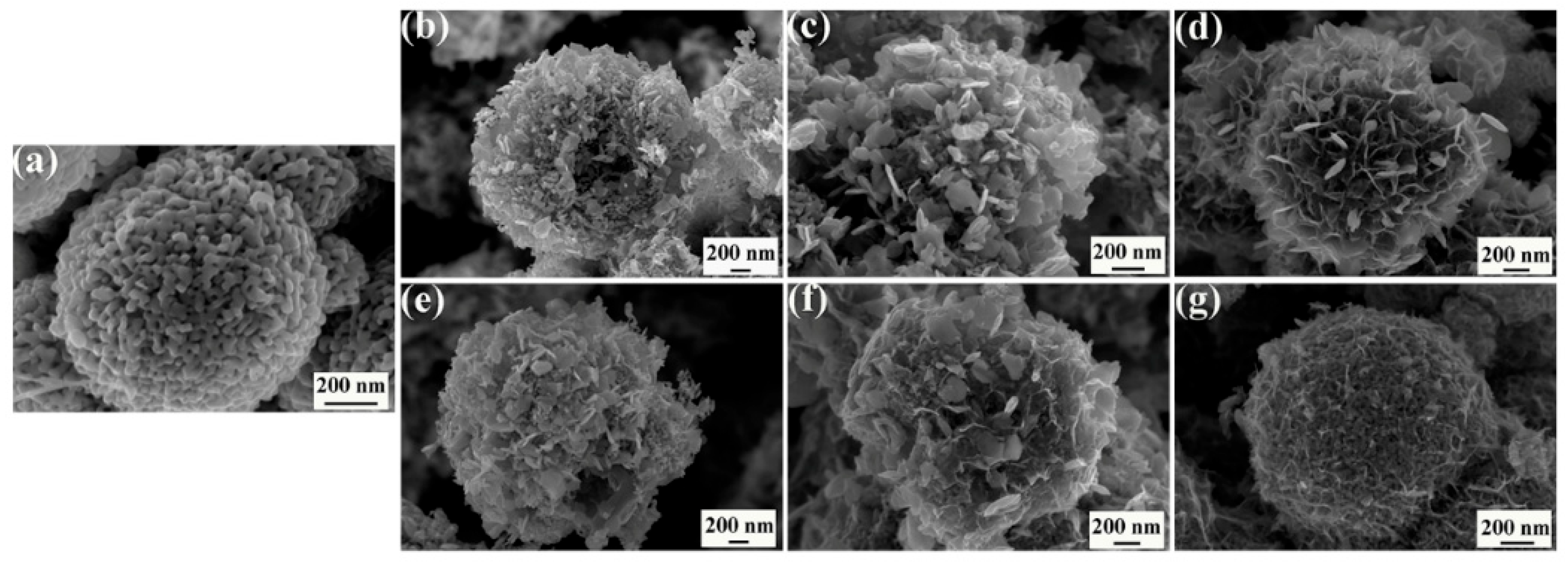 Molecules 30 00865 g002