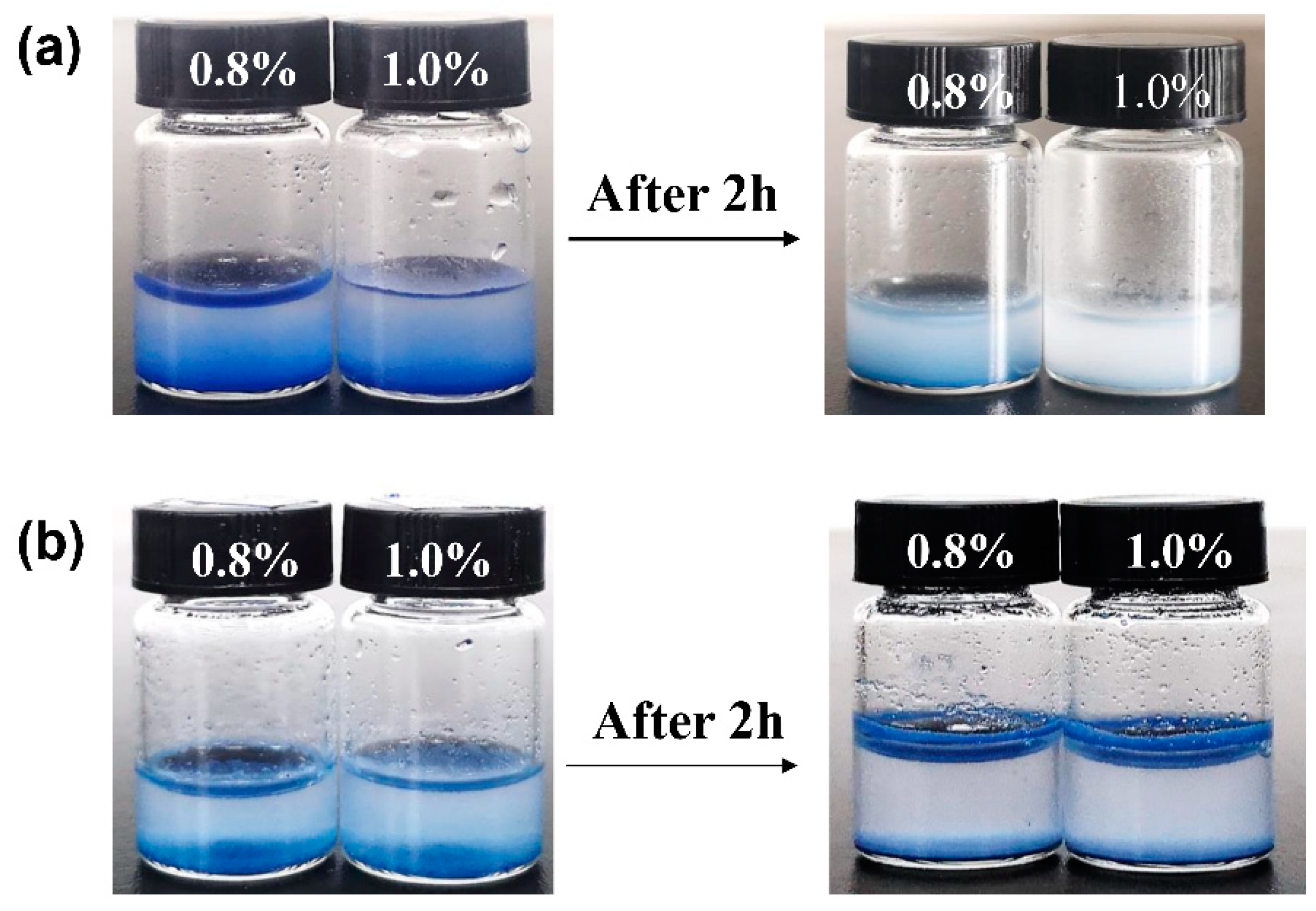Molecules 30 00870 g005
