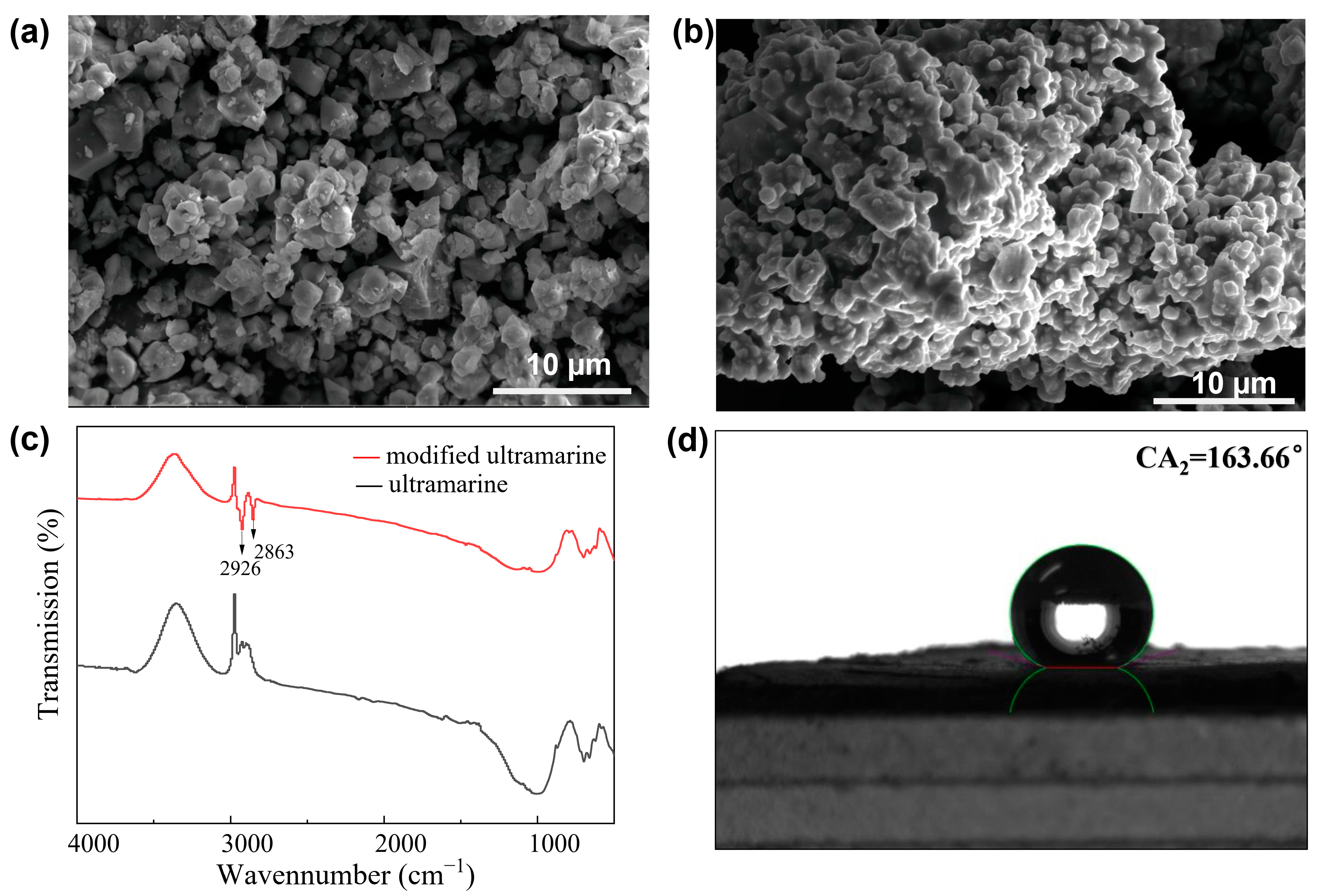 Molecules 30 00870 g006