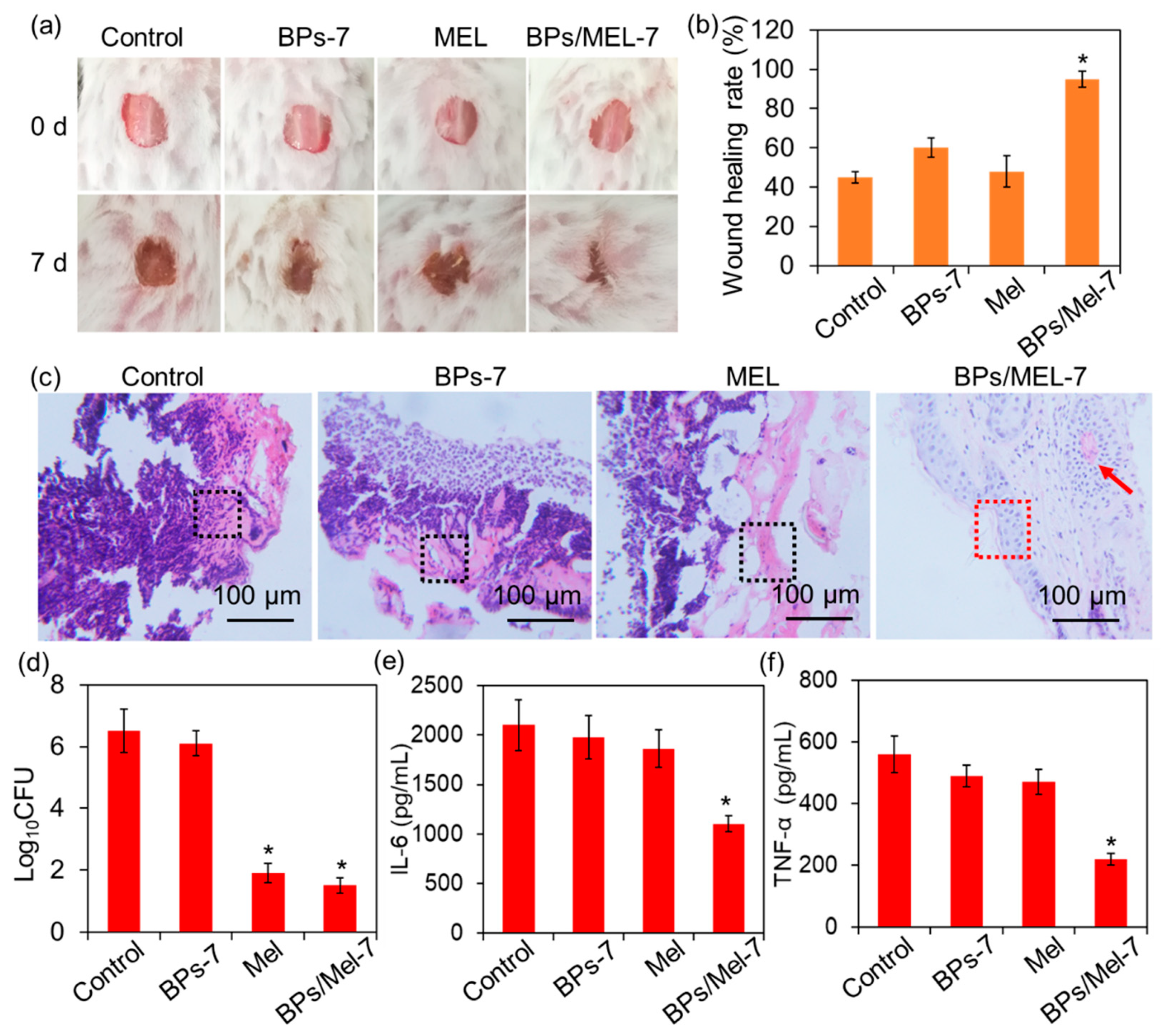 Molecules 30 00872 g005