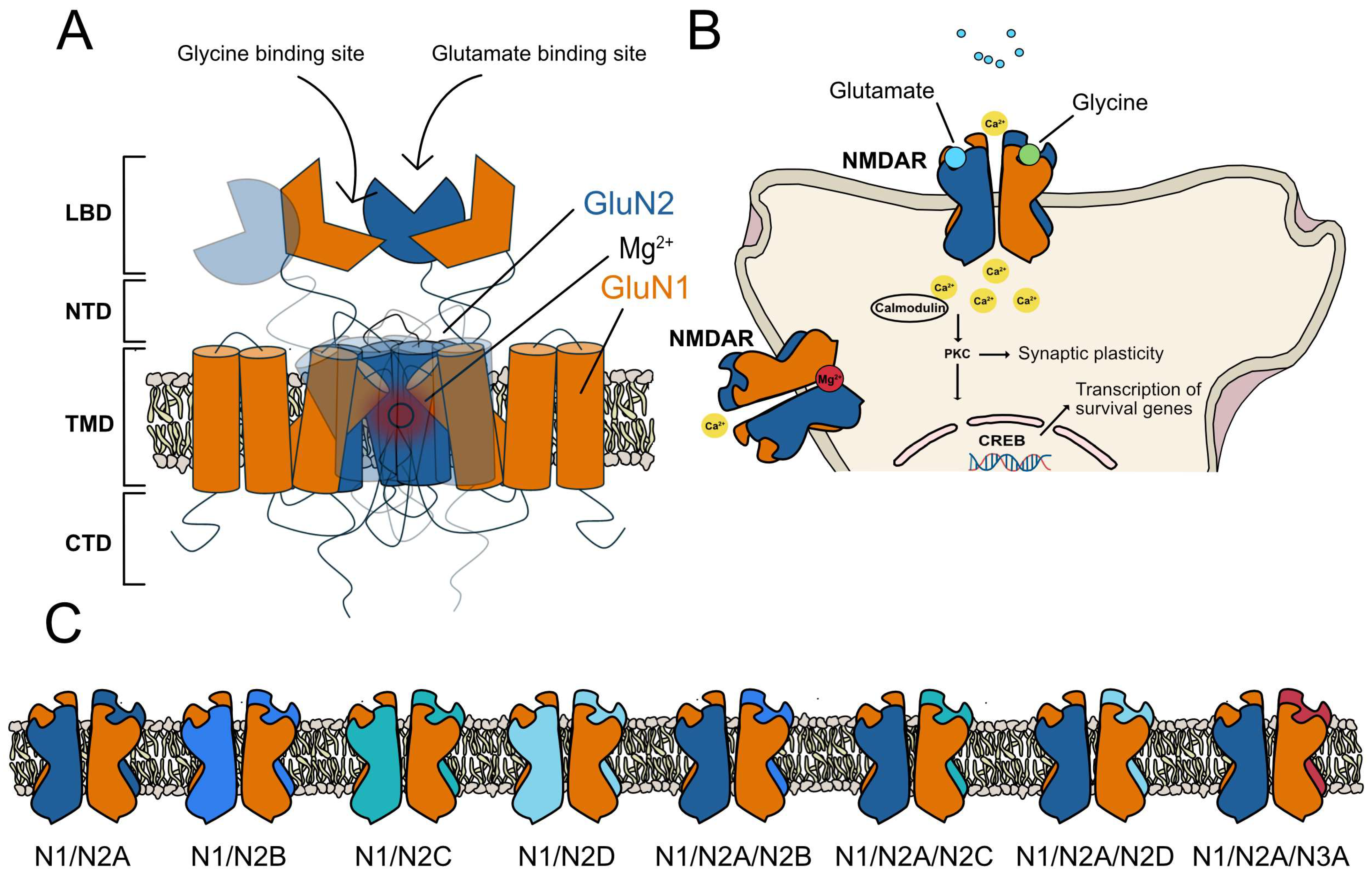 Molecules 30 00877 g001