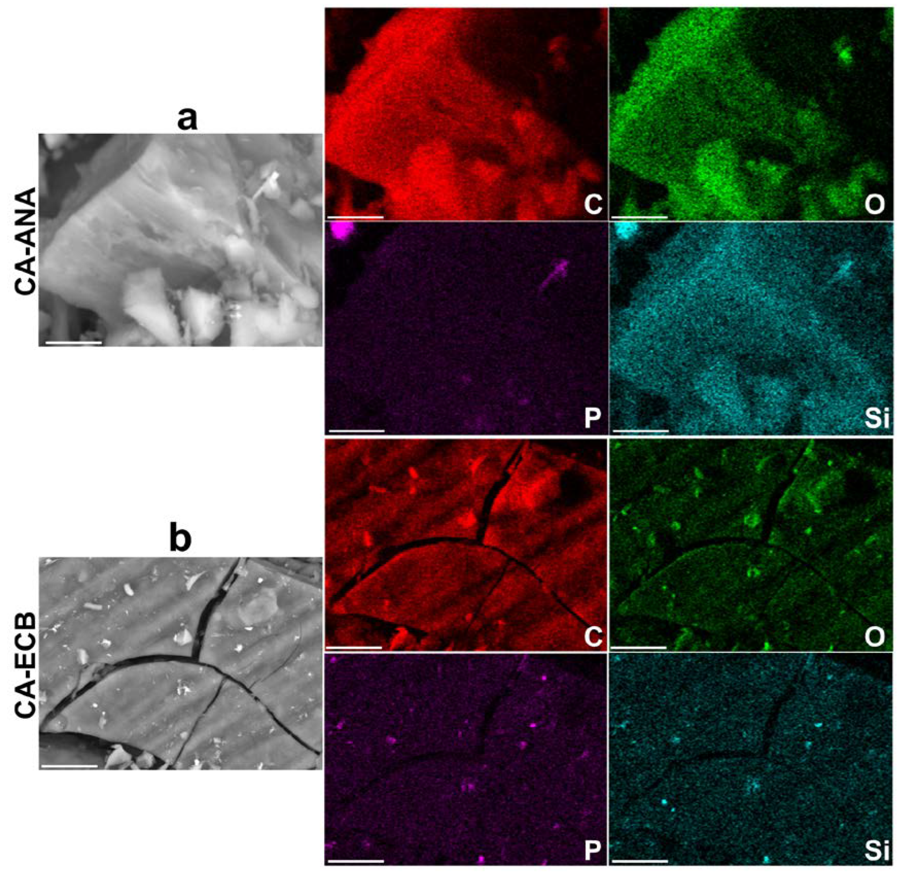 Molecules 30 00881 g004