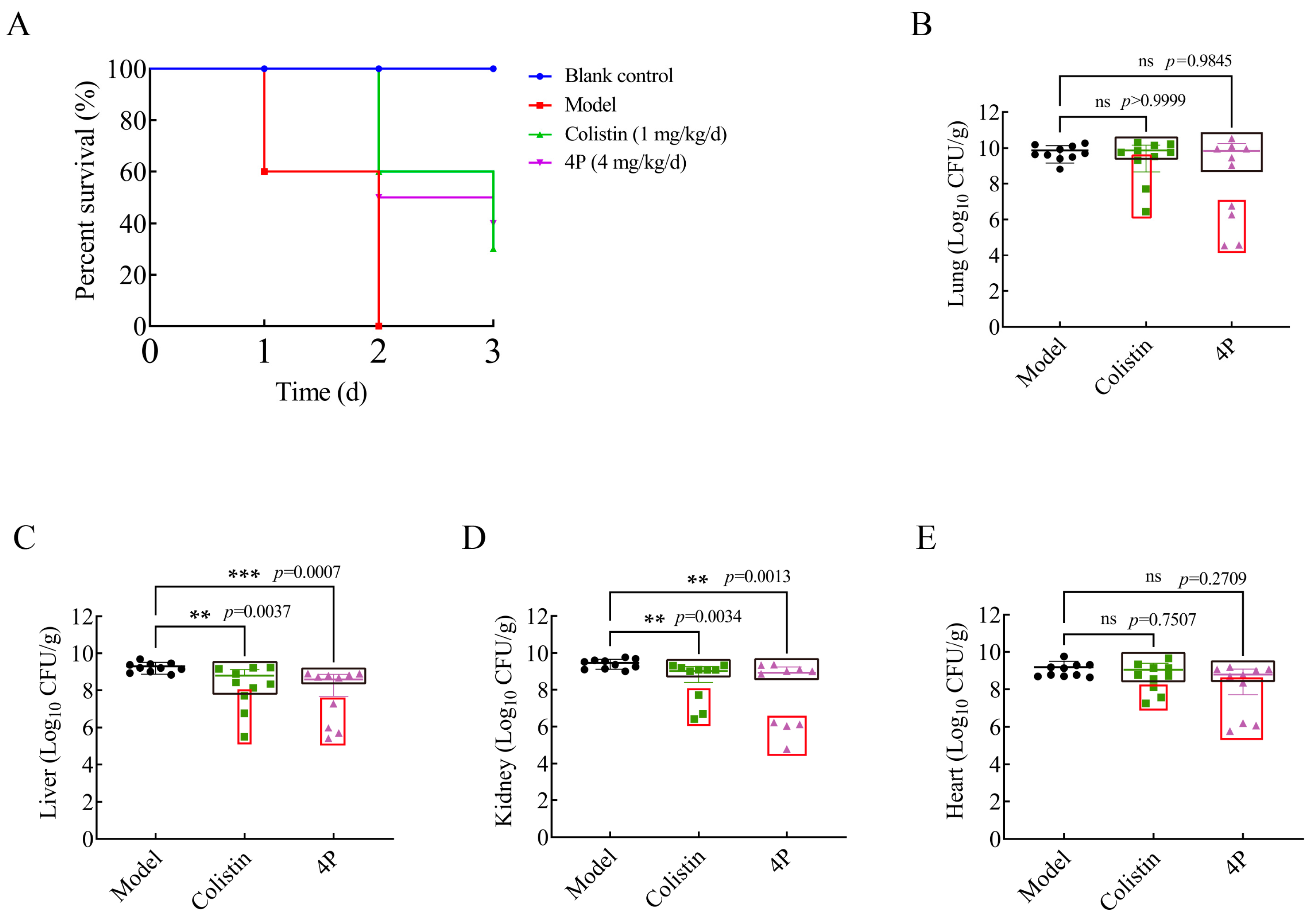Molecules 30 00887 g005