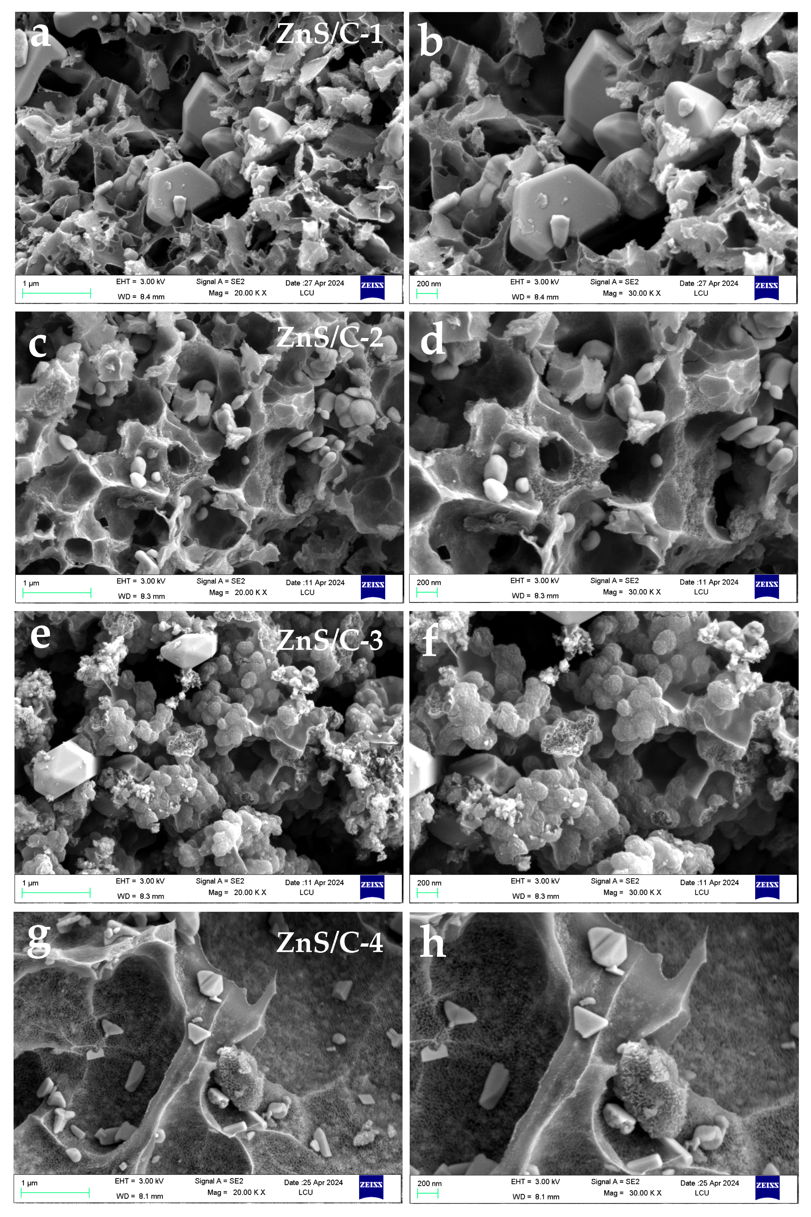 Molecules 30 00893 g003