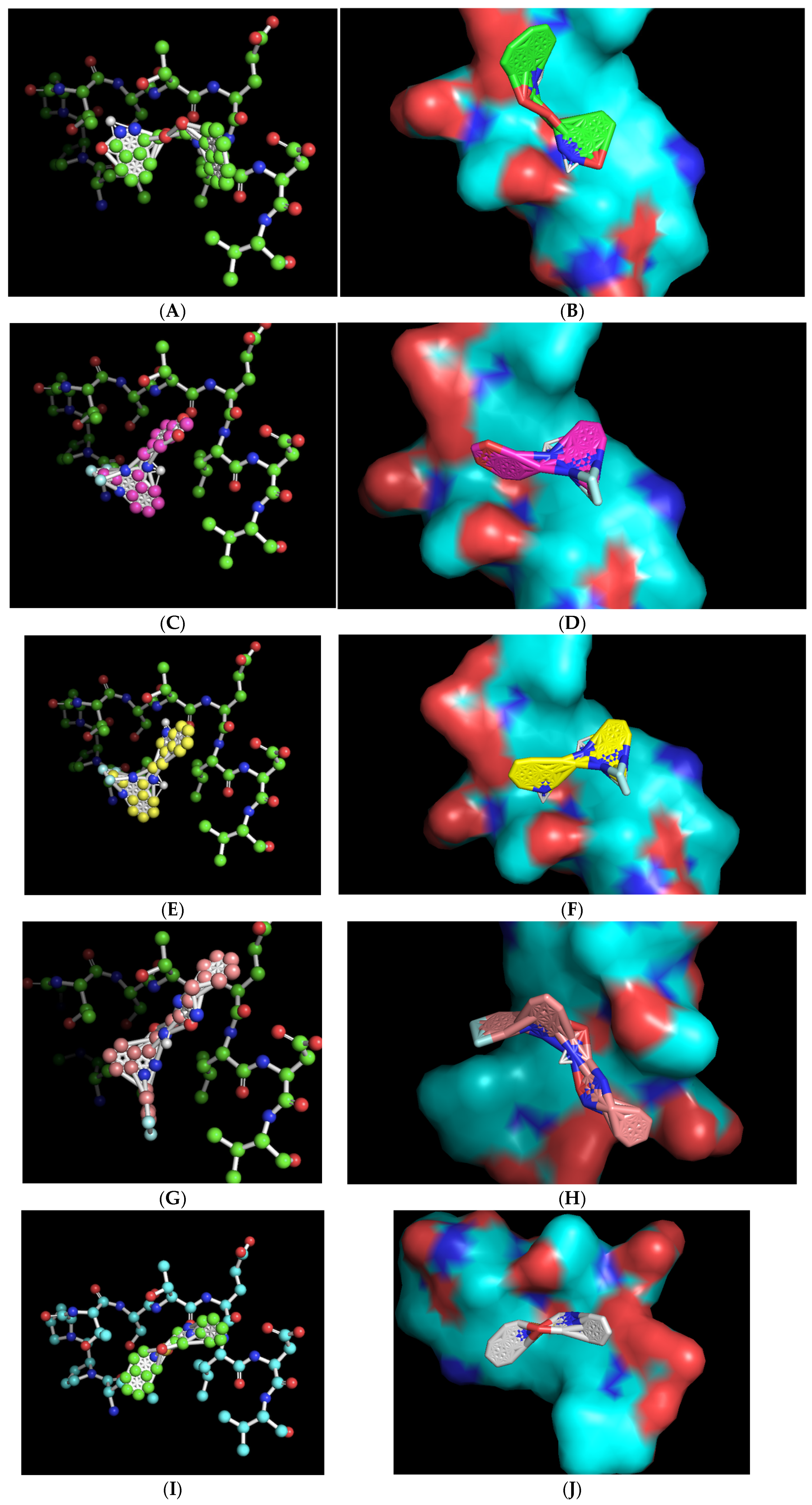 Molecules 30 00895 g004