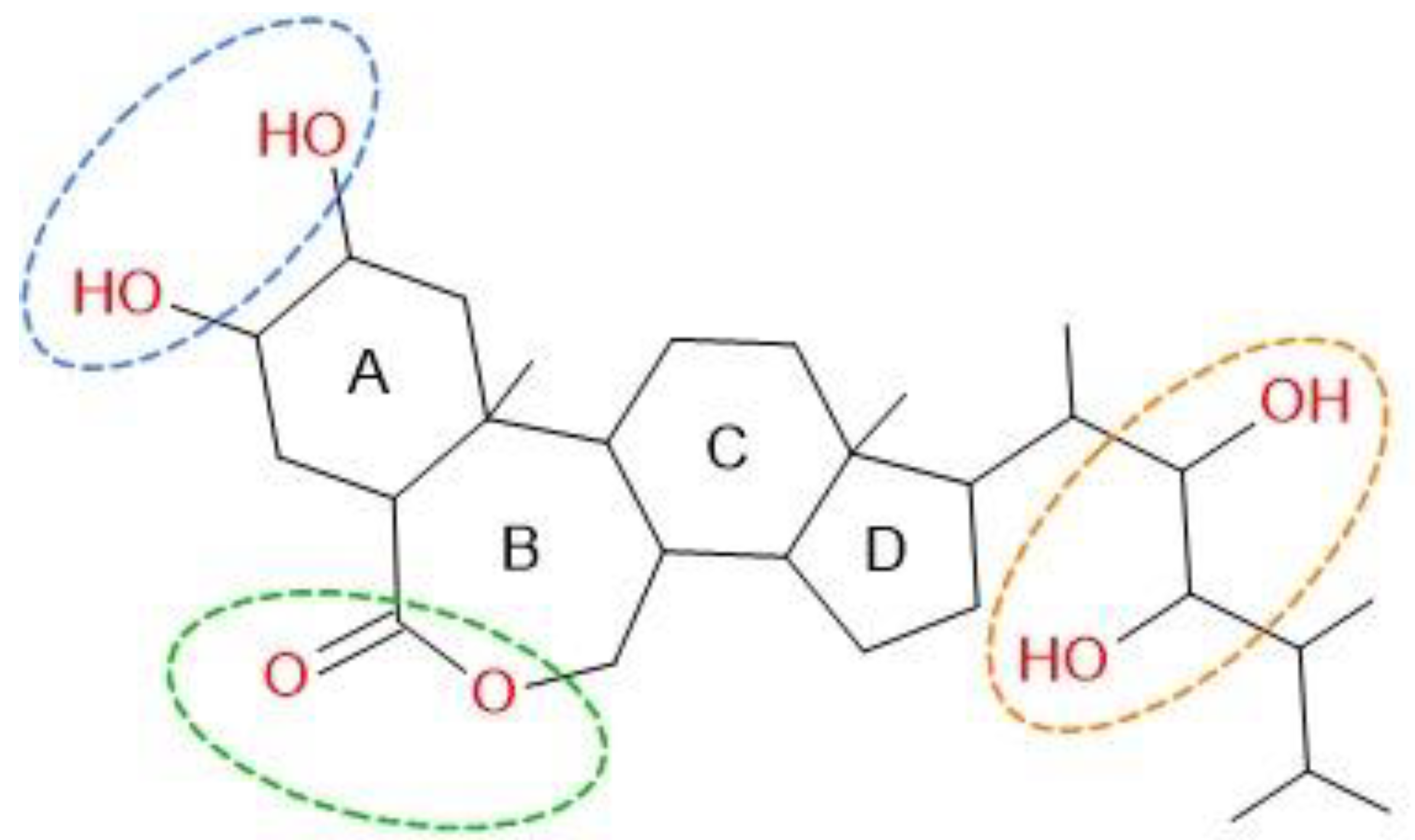 Molecules 30 00908 g003 Molecules 30 00908 g003