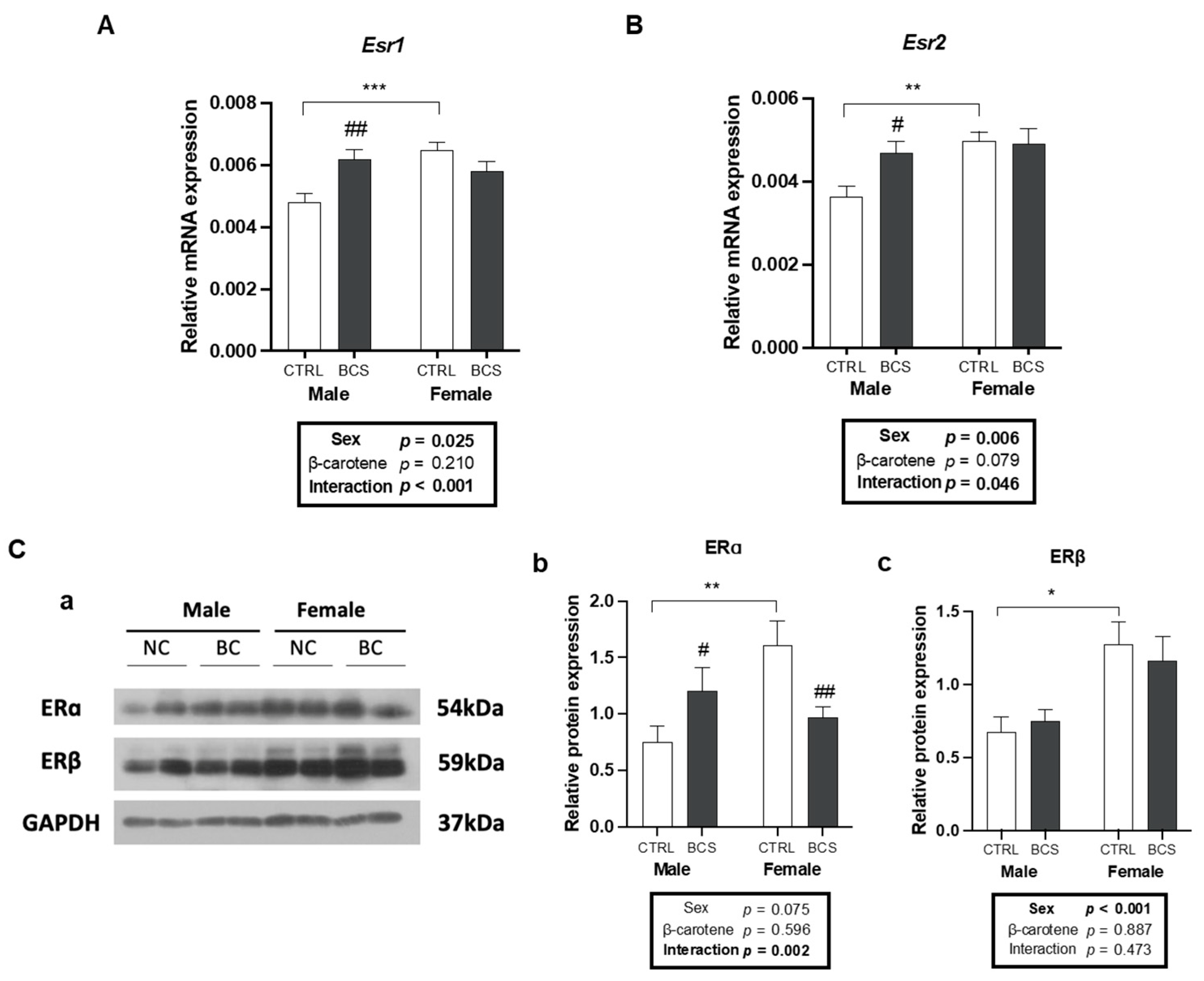 Molecules 30 00909 g003 Molecules 30 00909 g003