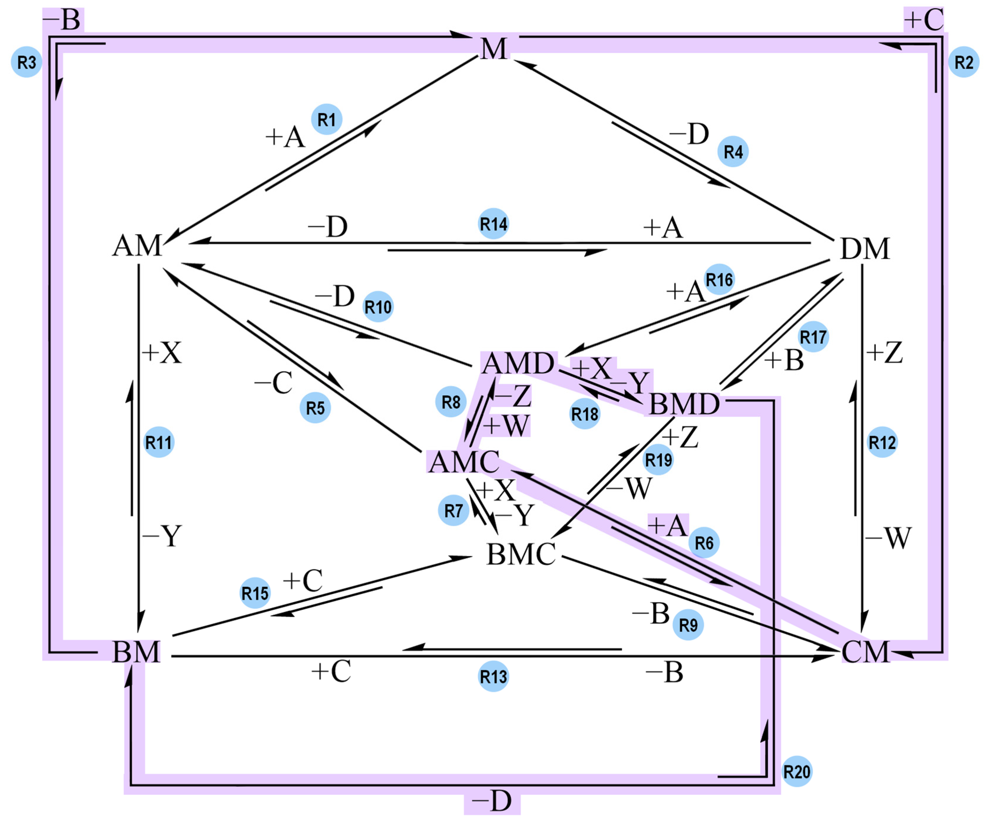Molecules 30 00911 g008