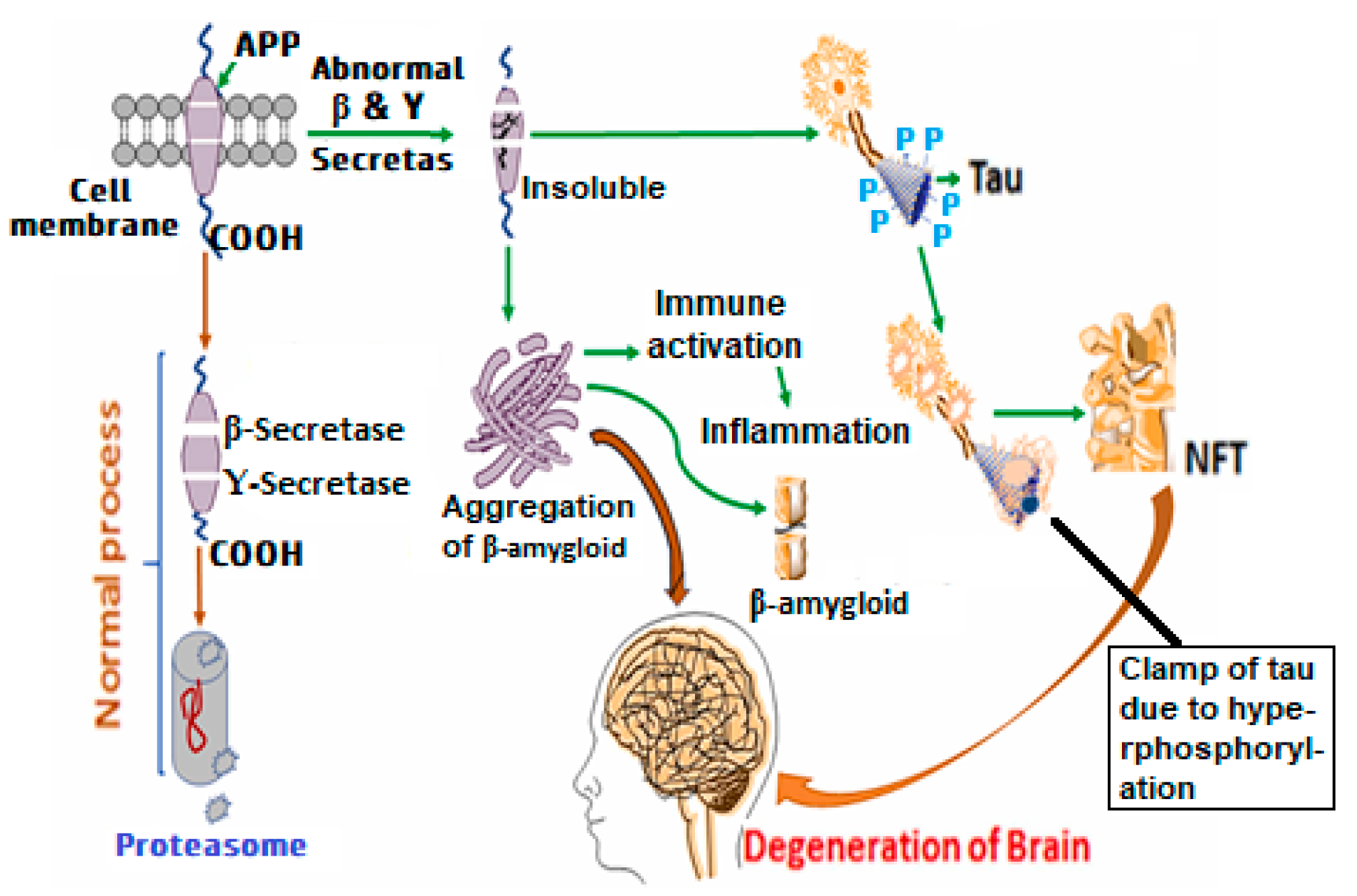Molecules 30 00922 g001