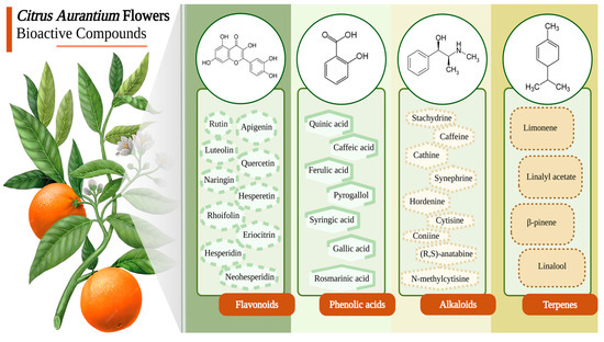 Citrus aurantium Flowers: Overview of Chemistry, Functionality