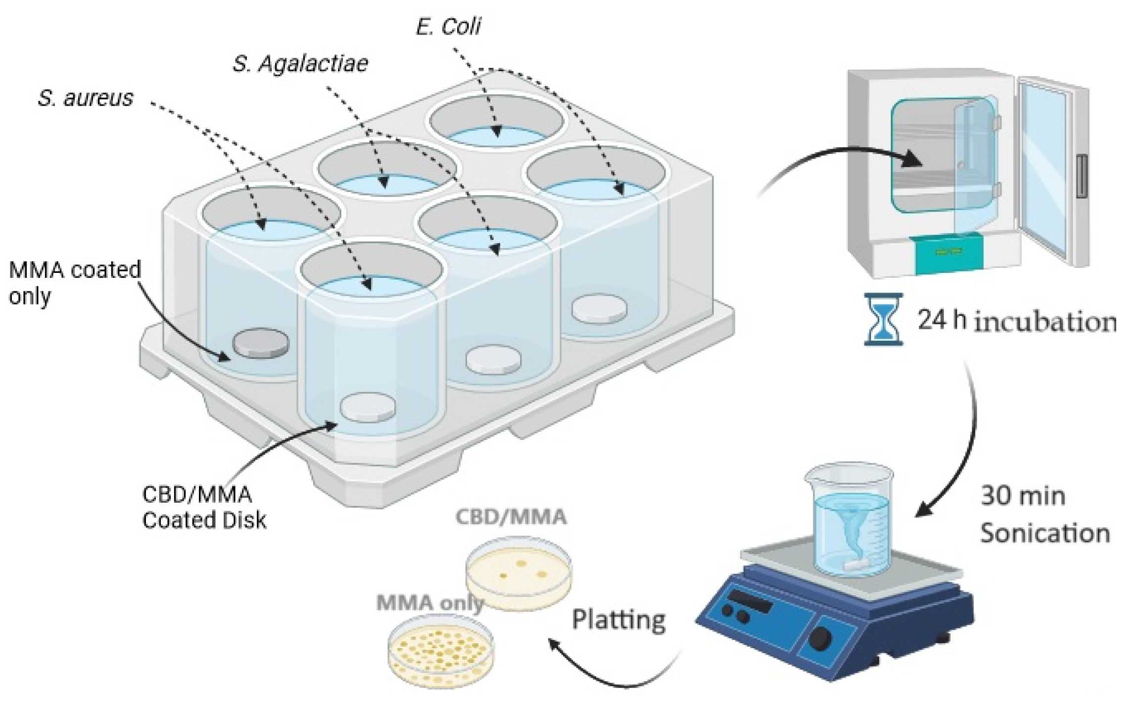 Molecules 30 00943 g006