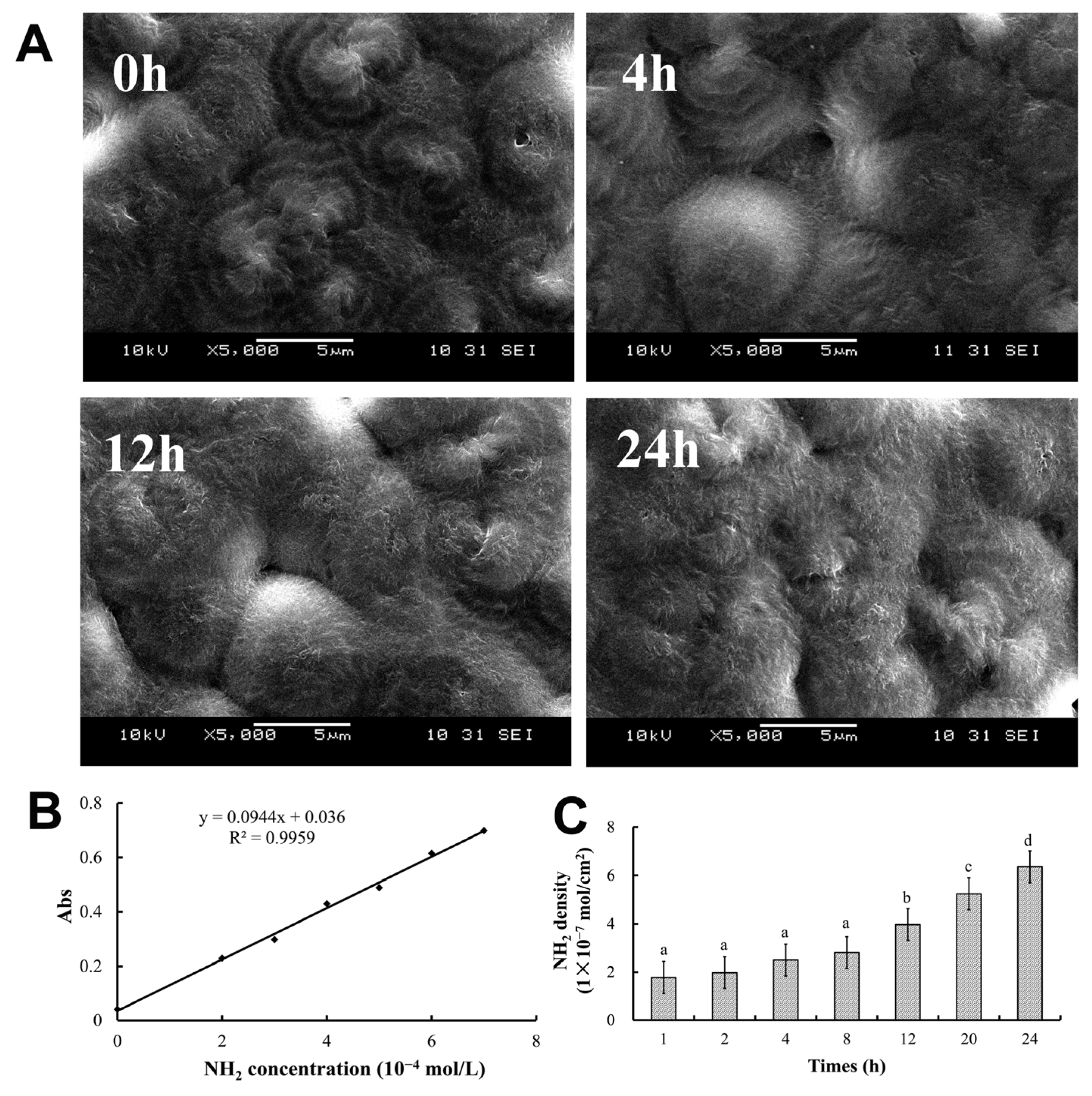 Molecules 30 00950 g001