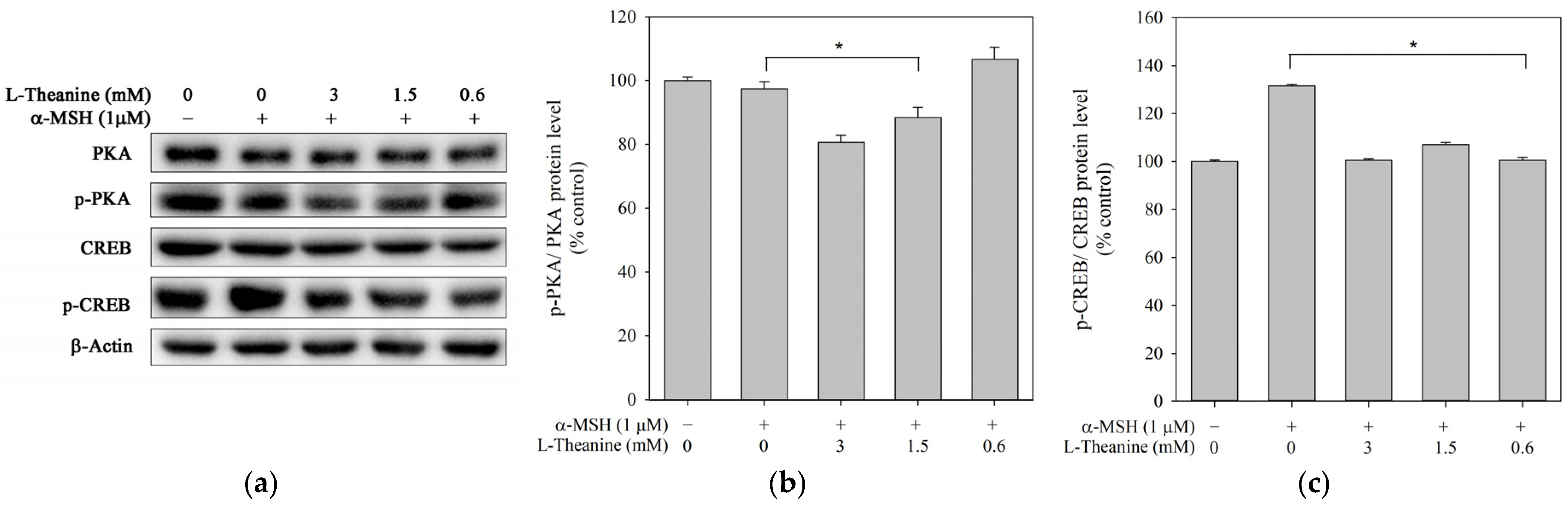 Molecules 30 00956 g004