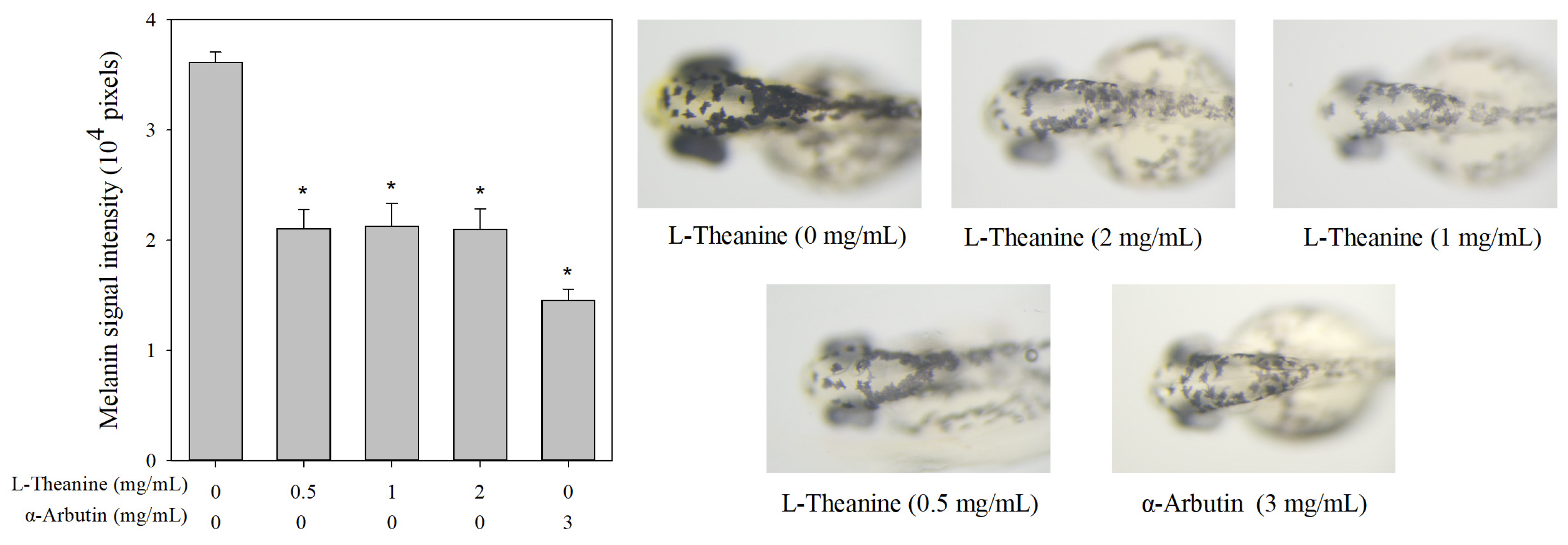Molecules 30 00956 g006