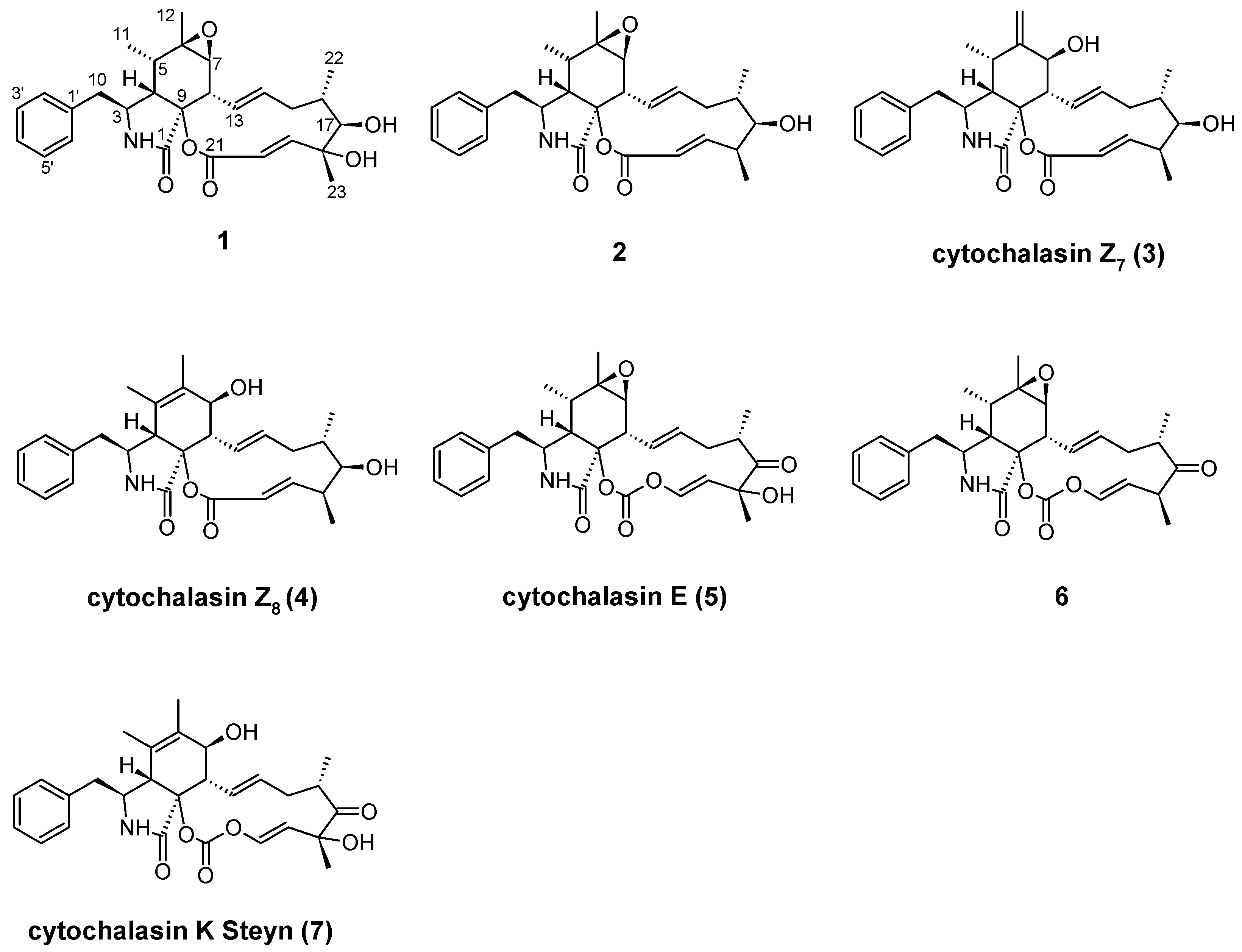 Molecules 30 00957 g001