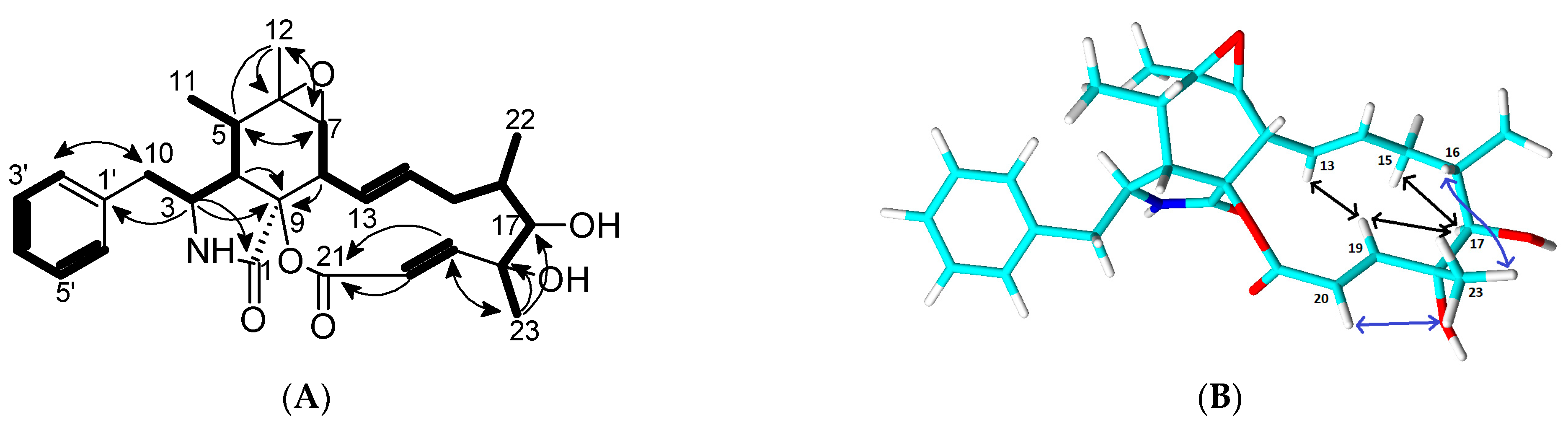 Molecules 30 00957 g002