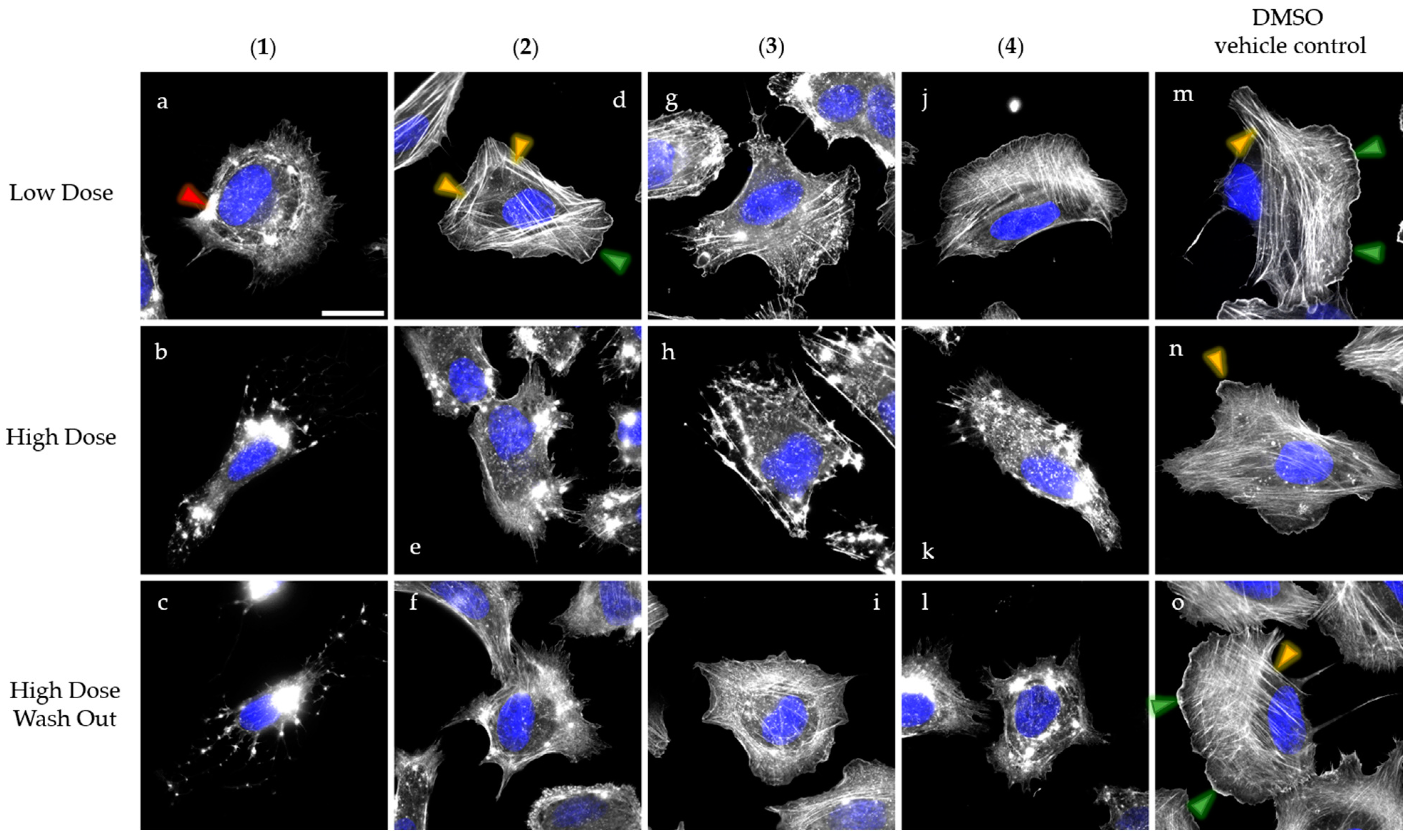 Molecules 30 00957 g003
