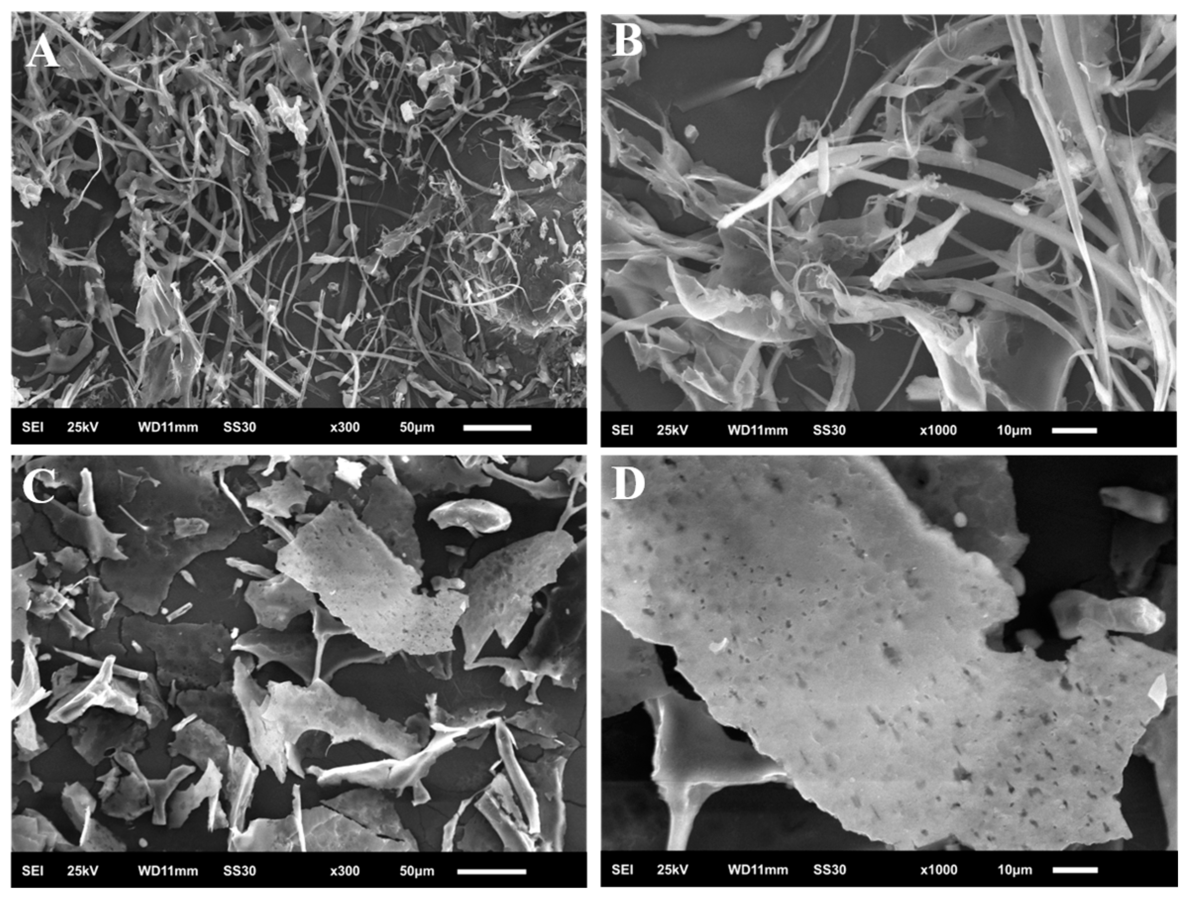 Molecules 30 00961 g007
