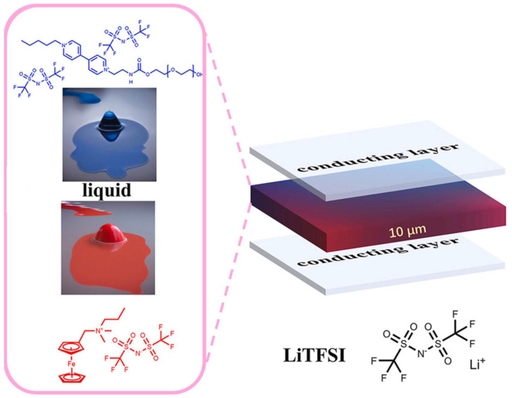 Molecules 30 00973 g013